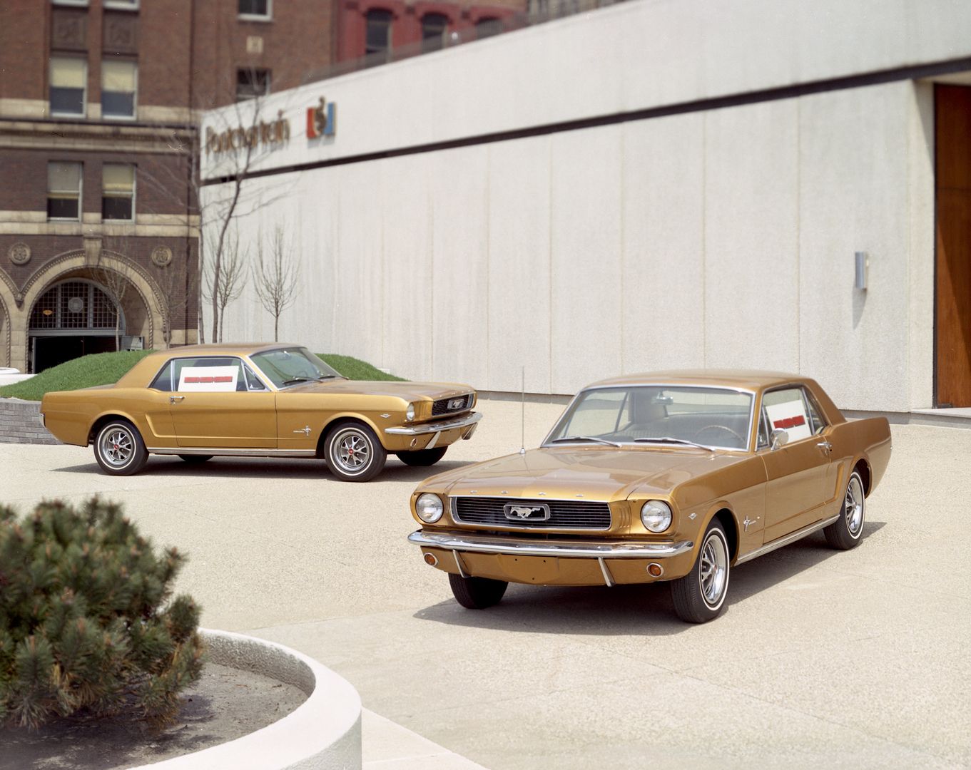 Golden and Brown 1966 Ford Mustang 