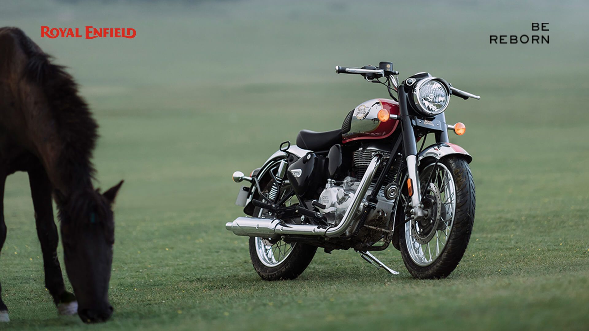 Royal Enfield 350 Classic with a horse in a field