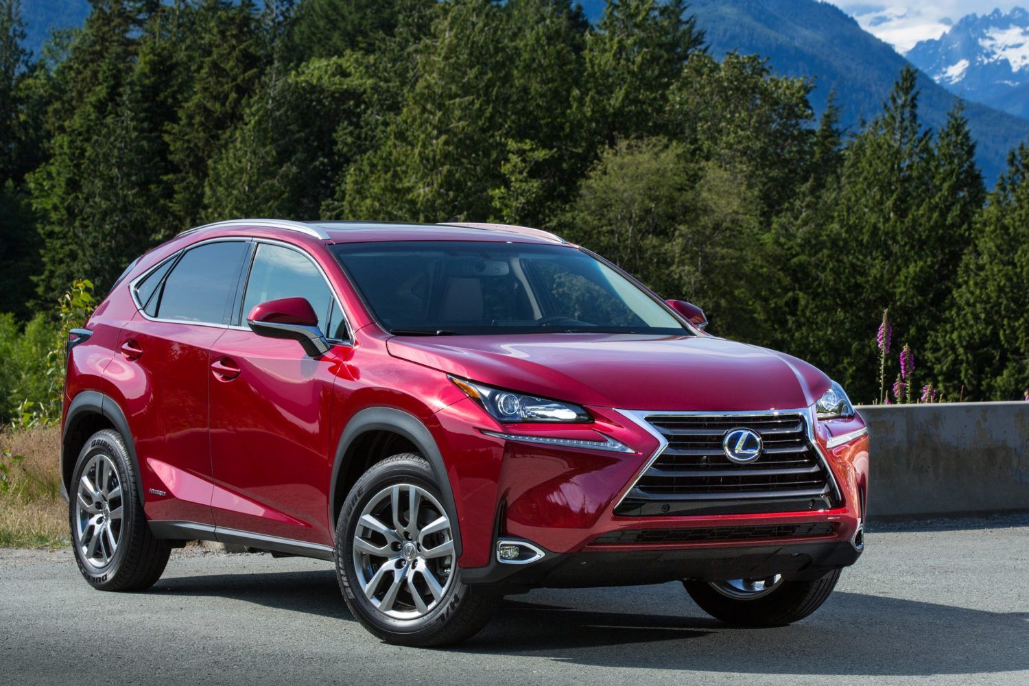 10 Most Reliable SUVs According To Consumer Reports