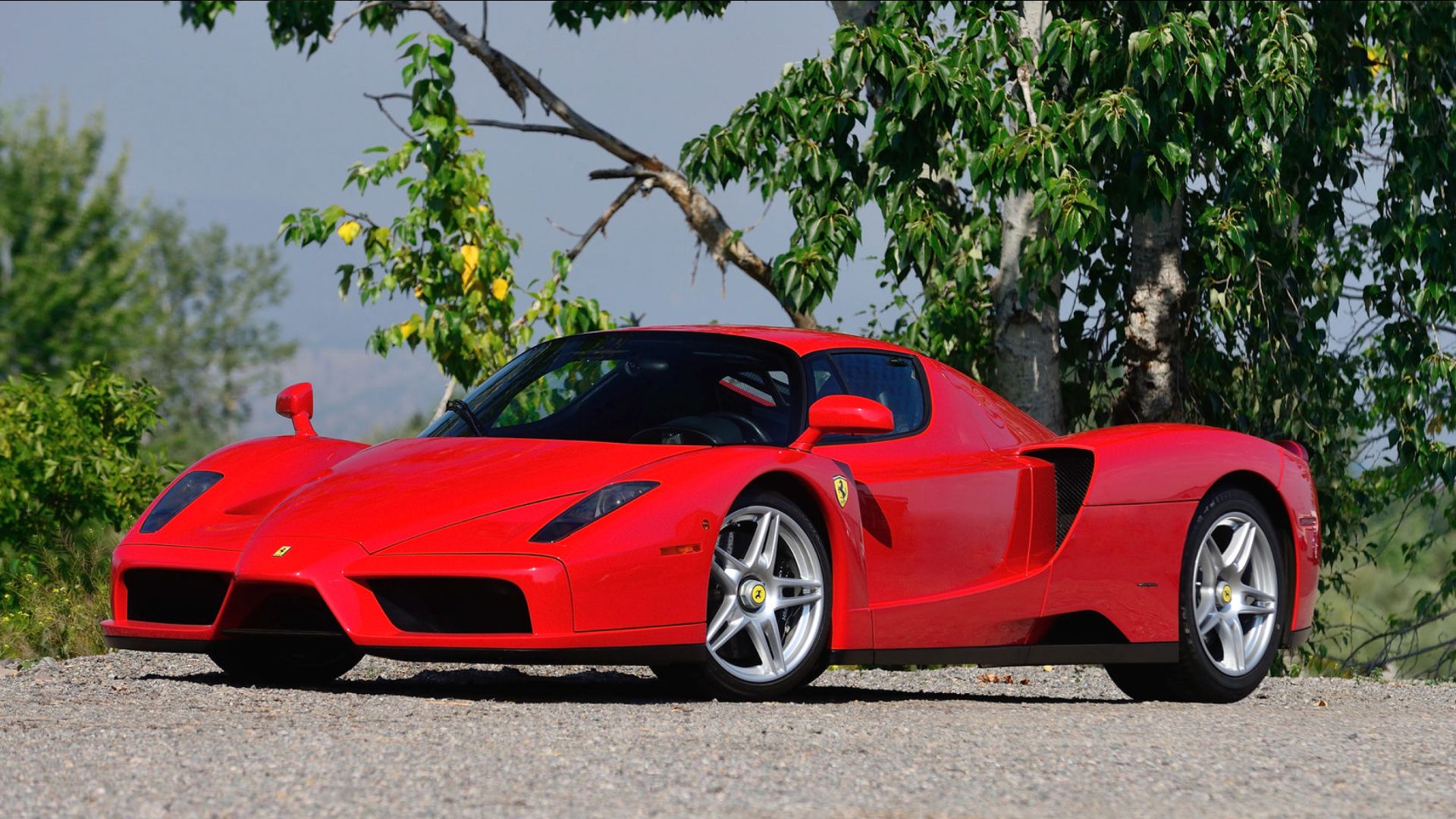 Red Ferrari Enzo