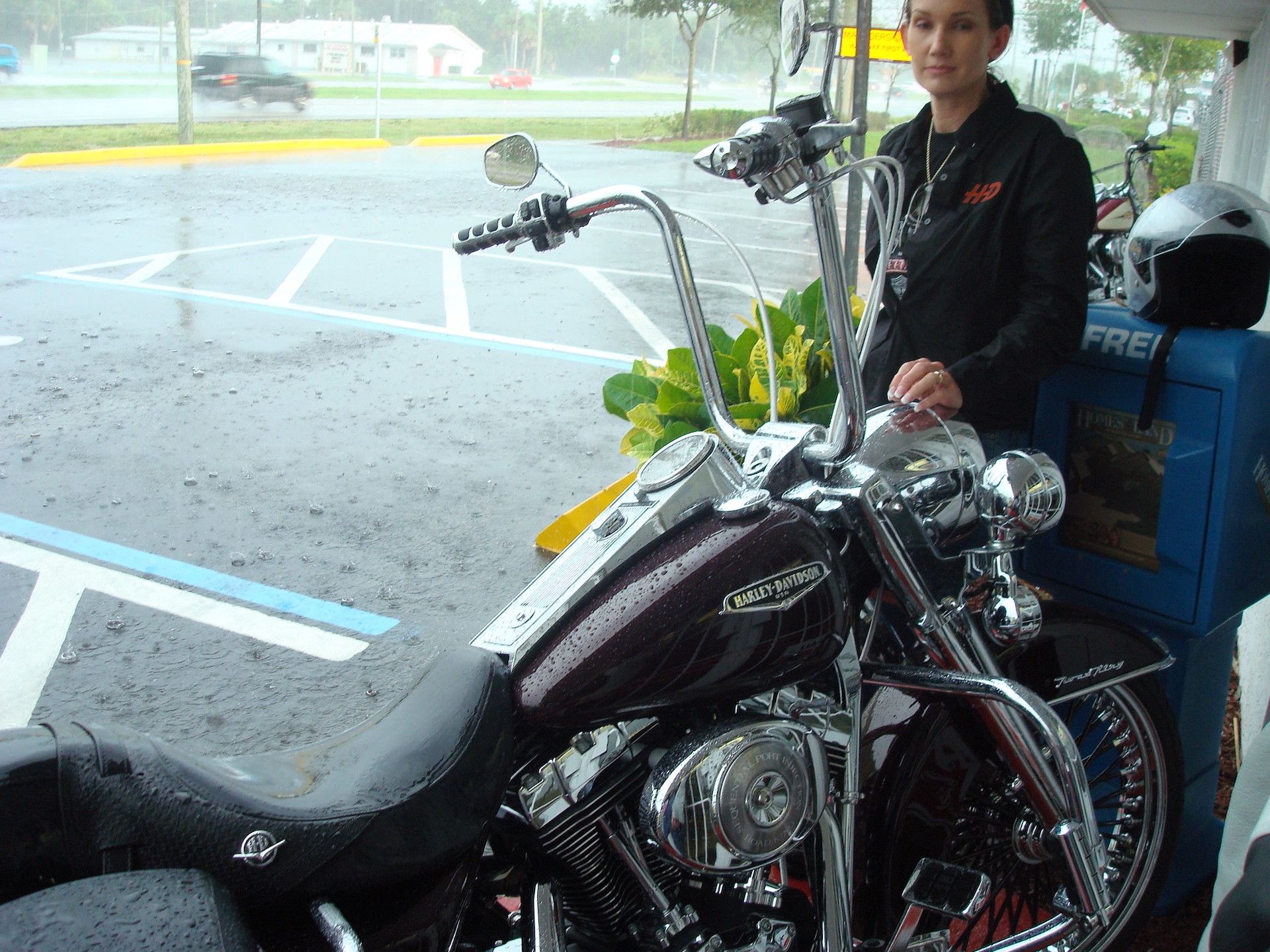 Rei da Estrada Harley-Davidson