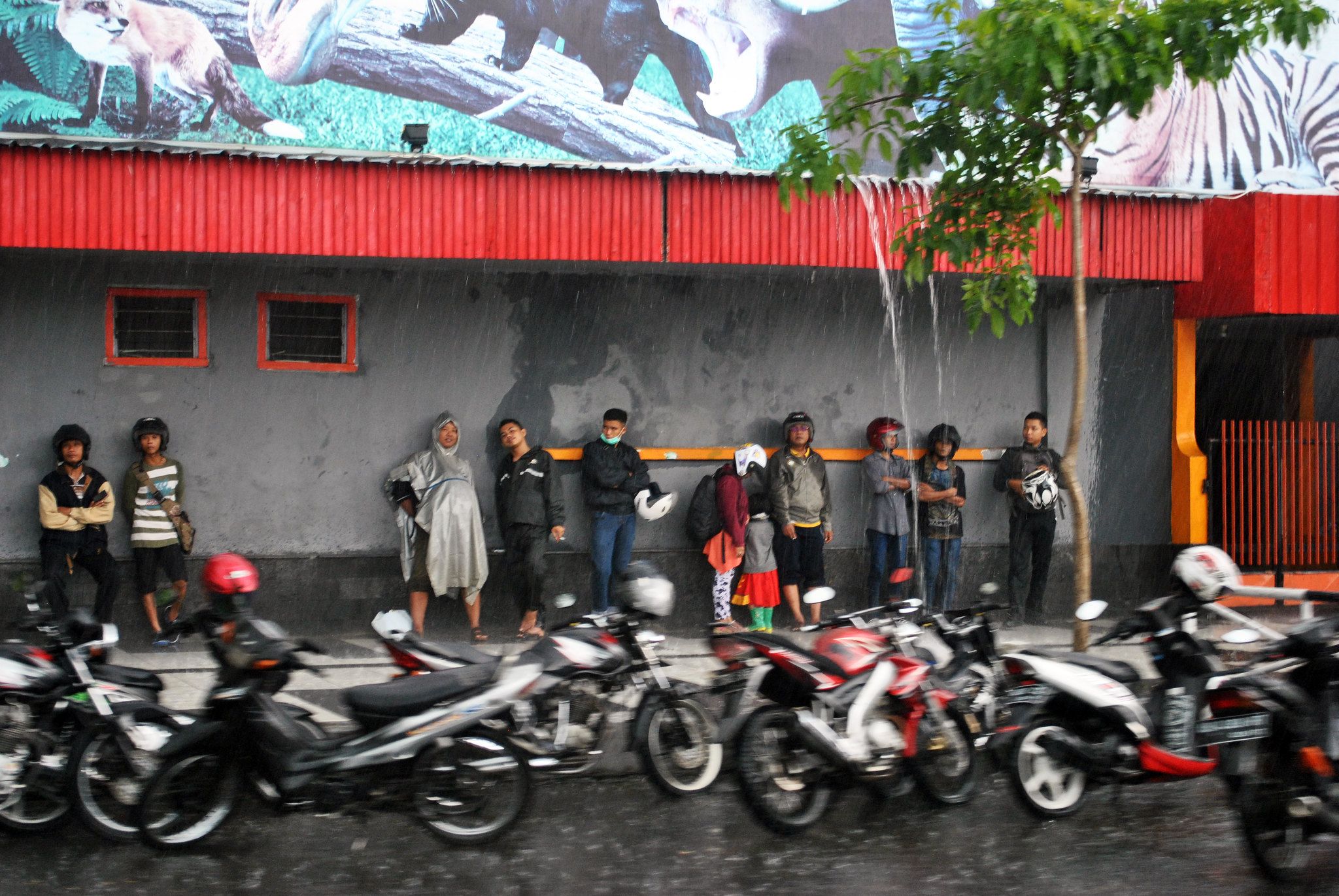 Motociclistas permanecendo secos