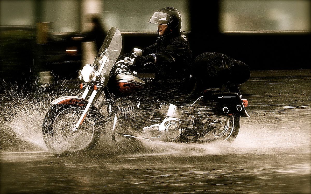 Garoto gordo Harley-Davidson