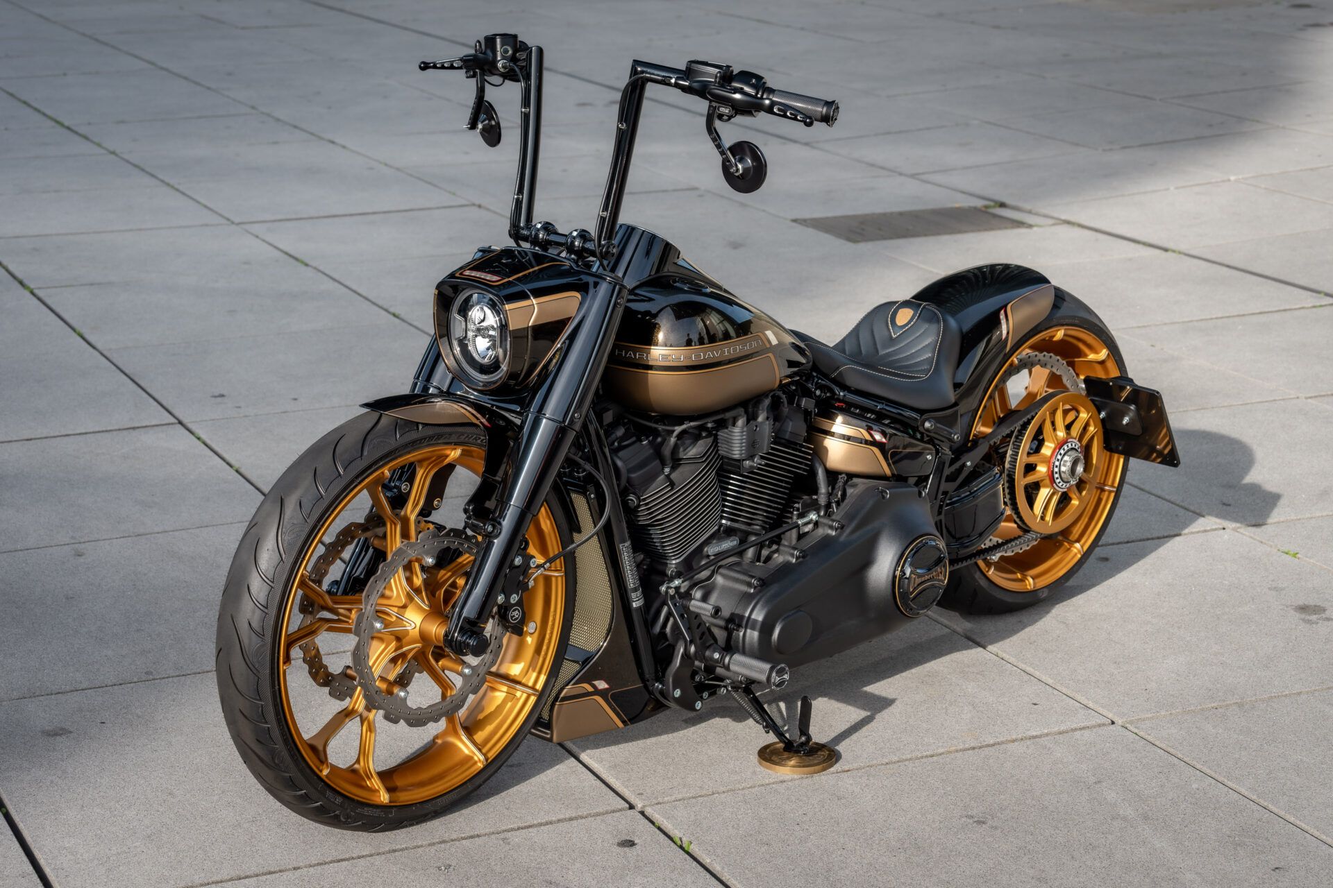 Custom Harley-Davidson Fat Boy Dark Force 4