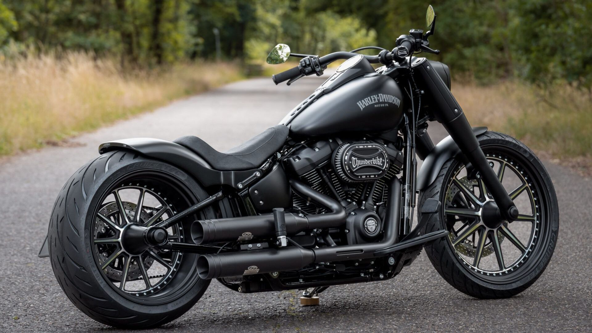 Harley-Davidson® Bikes: A Guide to the Best Models