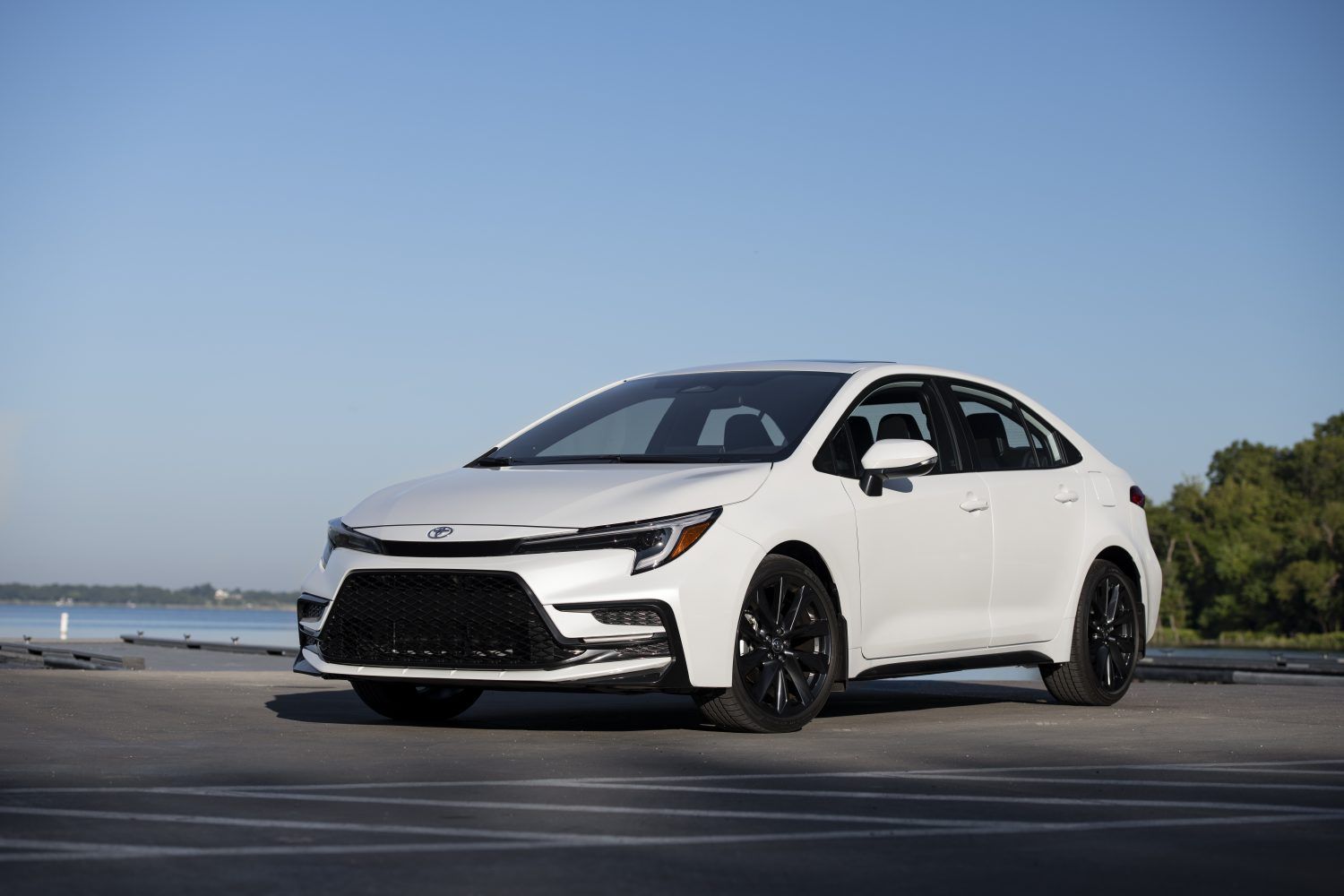 Corolla Branco