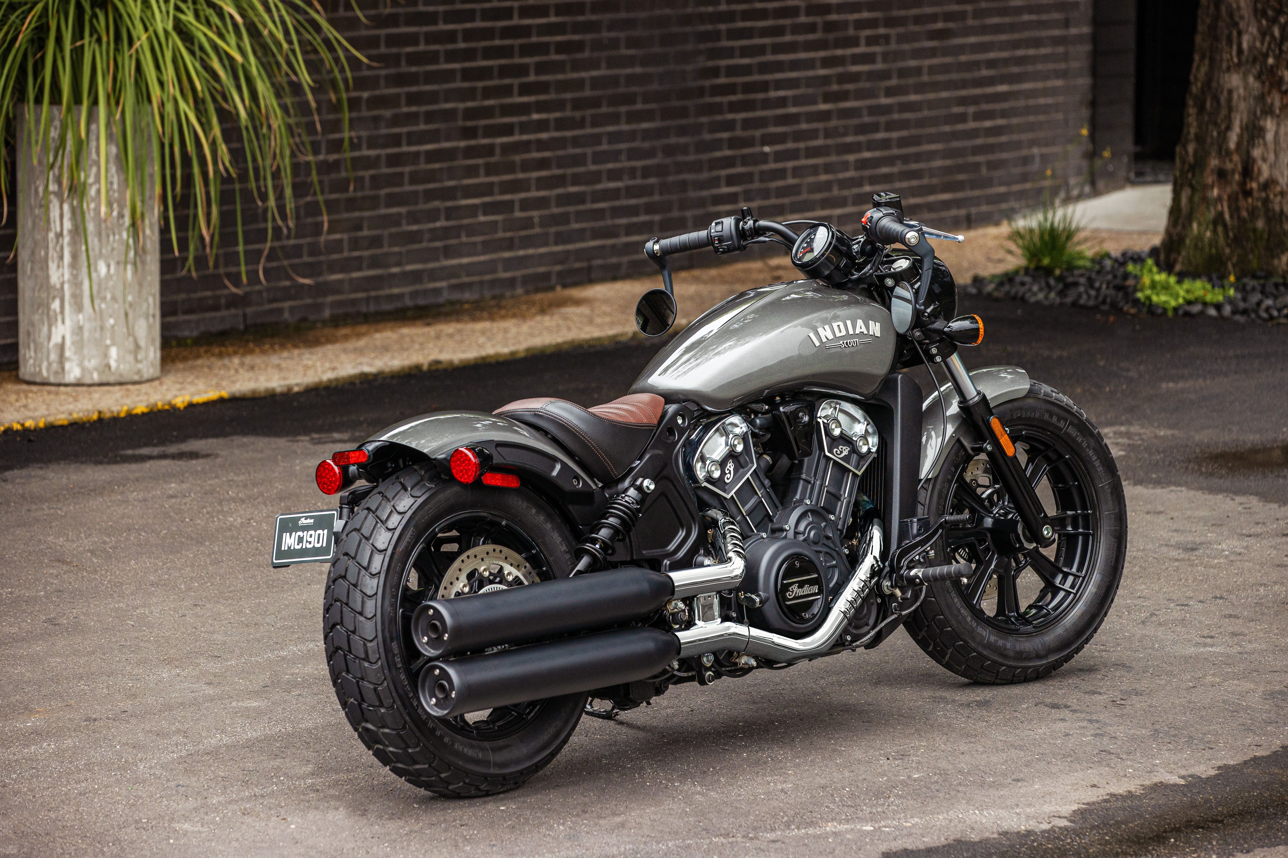 Scout harley outlet davidson