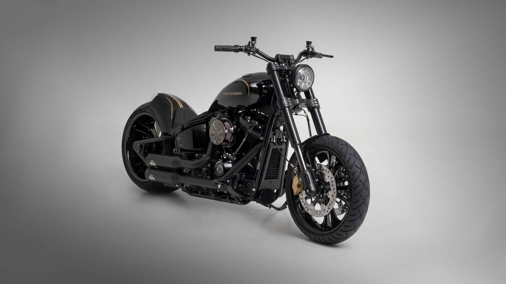 Custom Harley-Davidson Fat Bob Bundnerbike 1