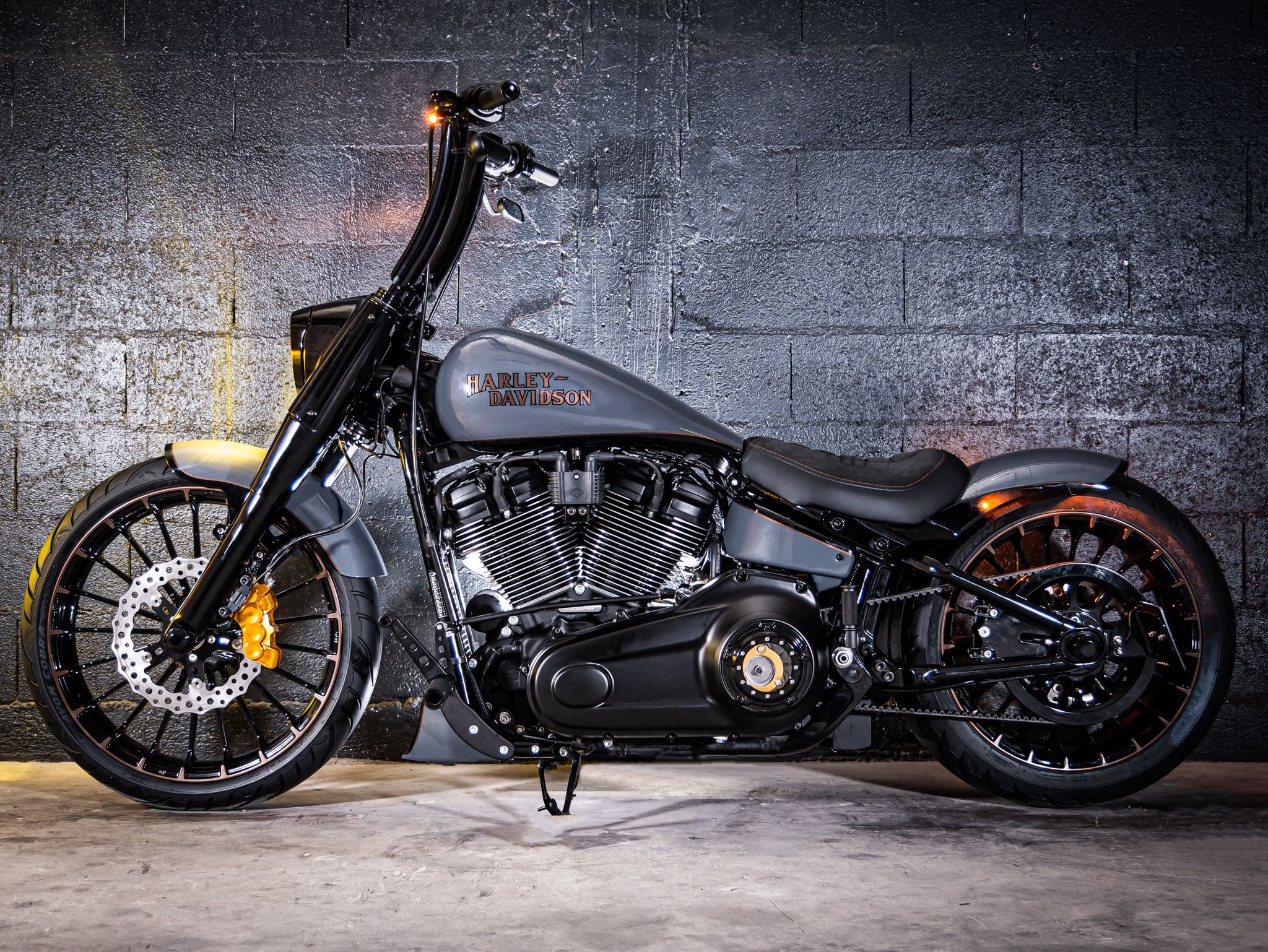 Custom Harley-Davidson Fat Boy Looks Ravishing In Its French Guise