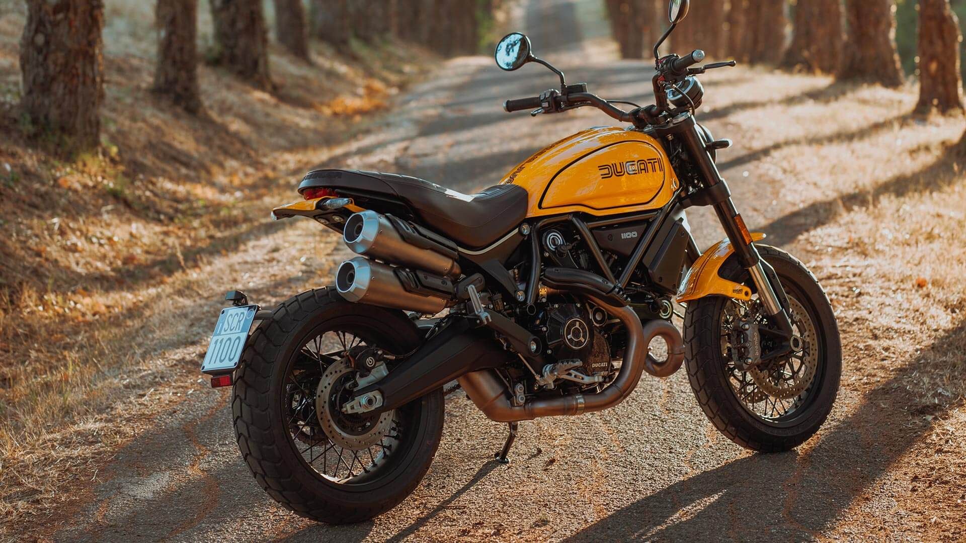 15 Captivating Facts About Ducati Scrambler Icon 