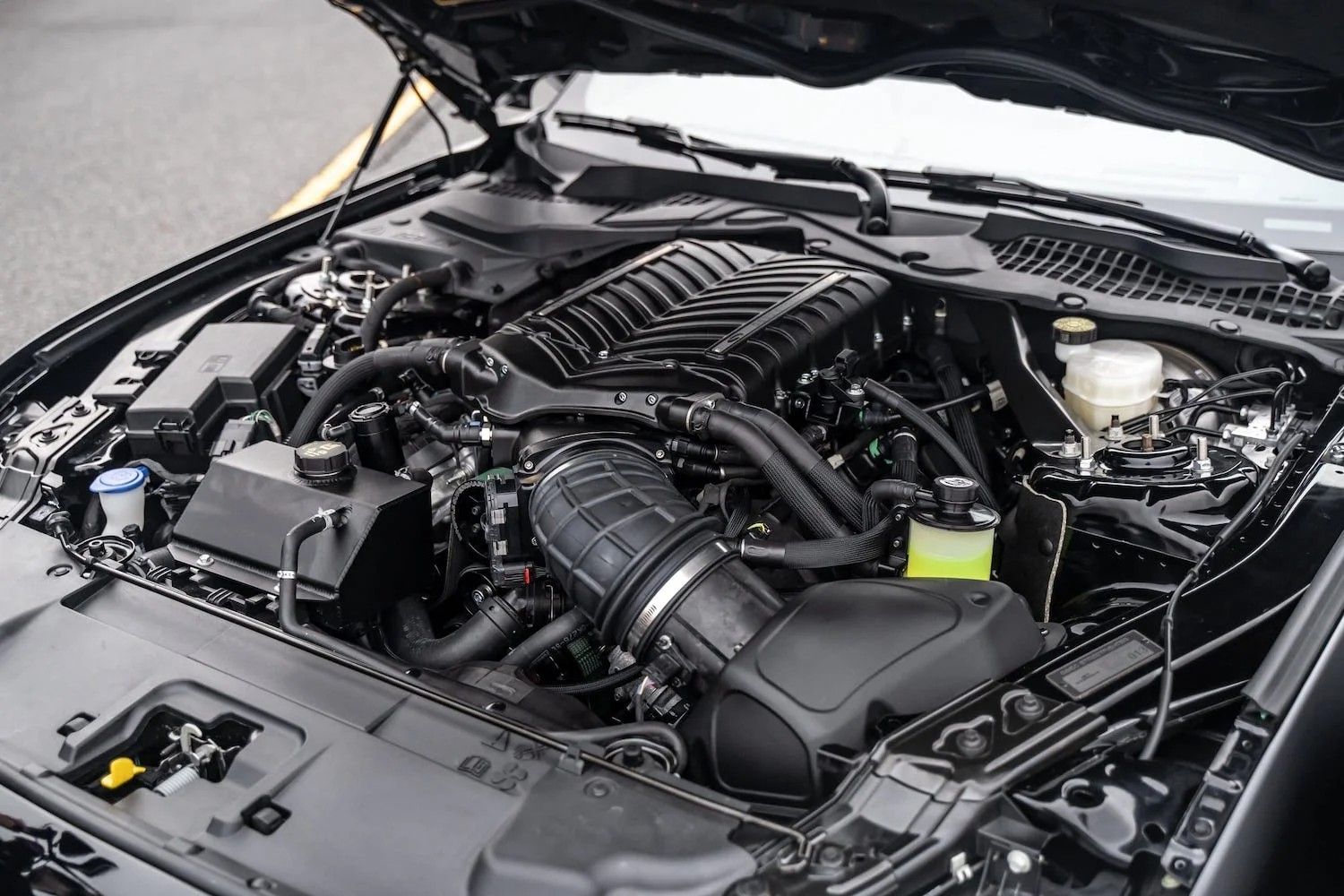 Steeda-Q850-StreetFighter-Ford-Mustang-Engine-Bay-1