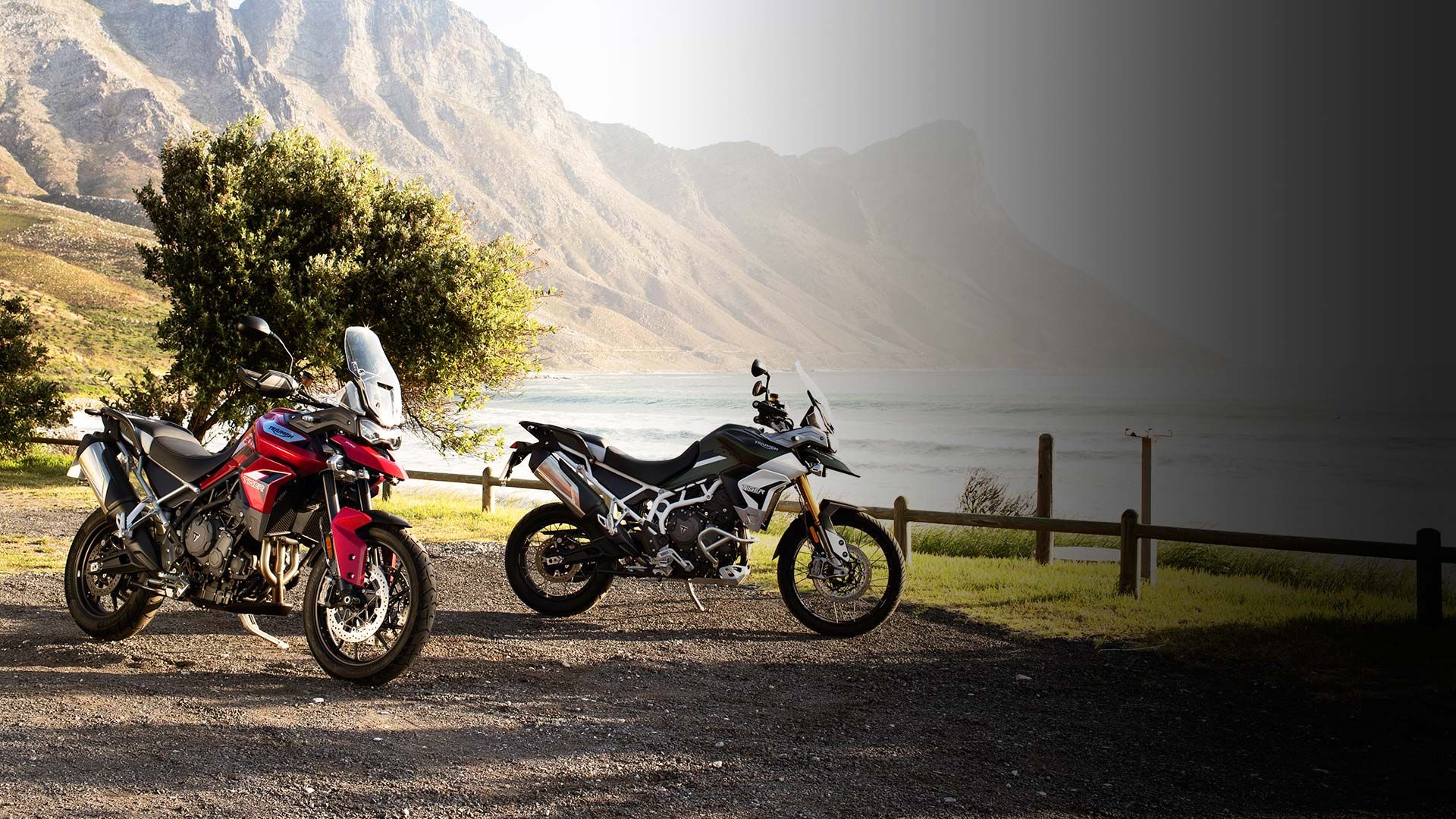 Tembakan statis Triumph Tiger 900
