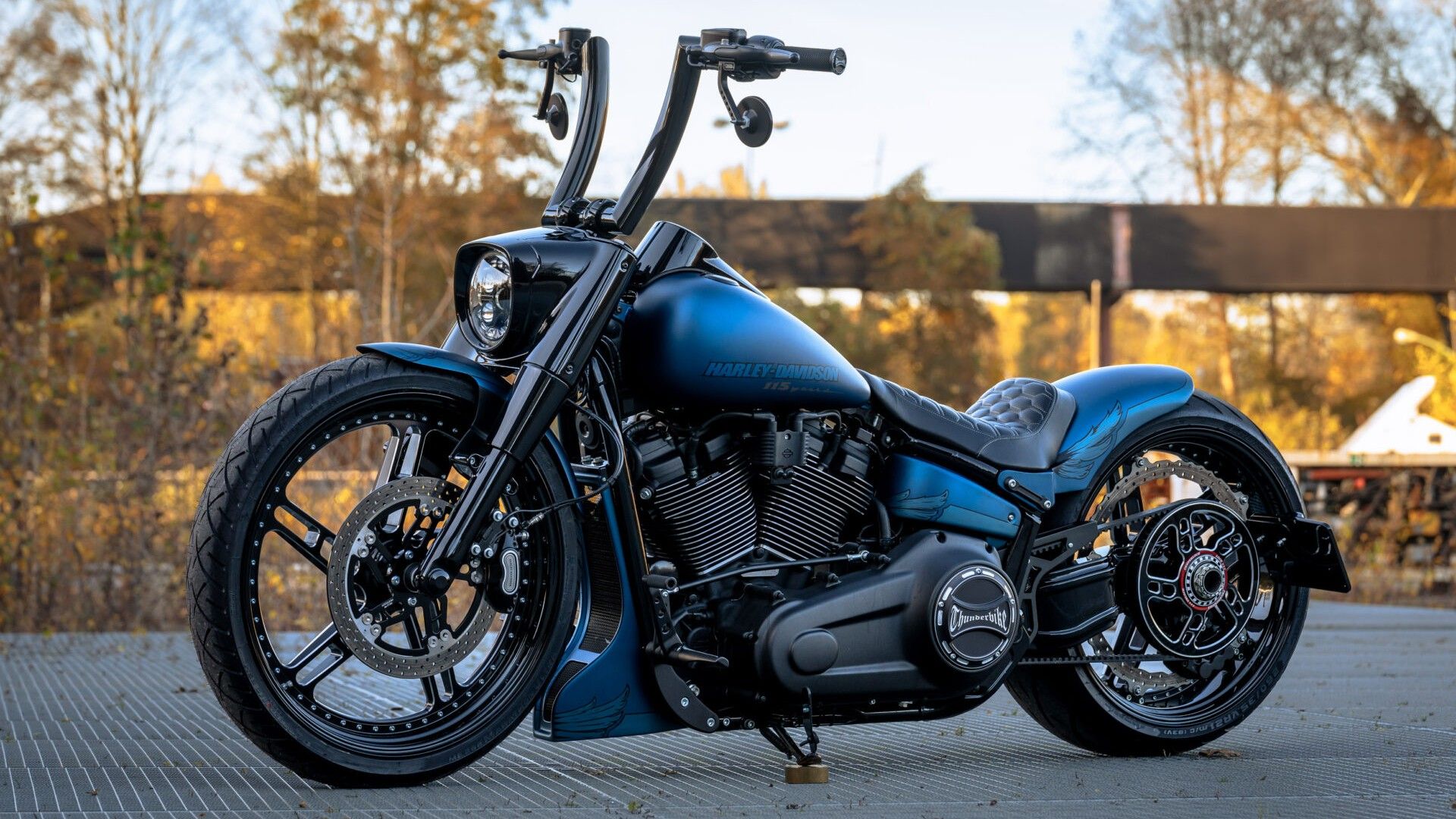 Custom Harley-Davidson Fat Back 1