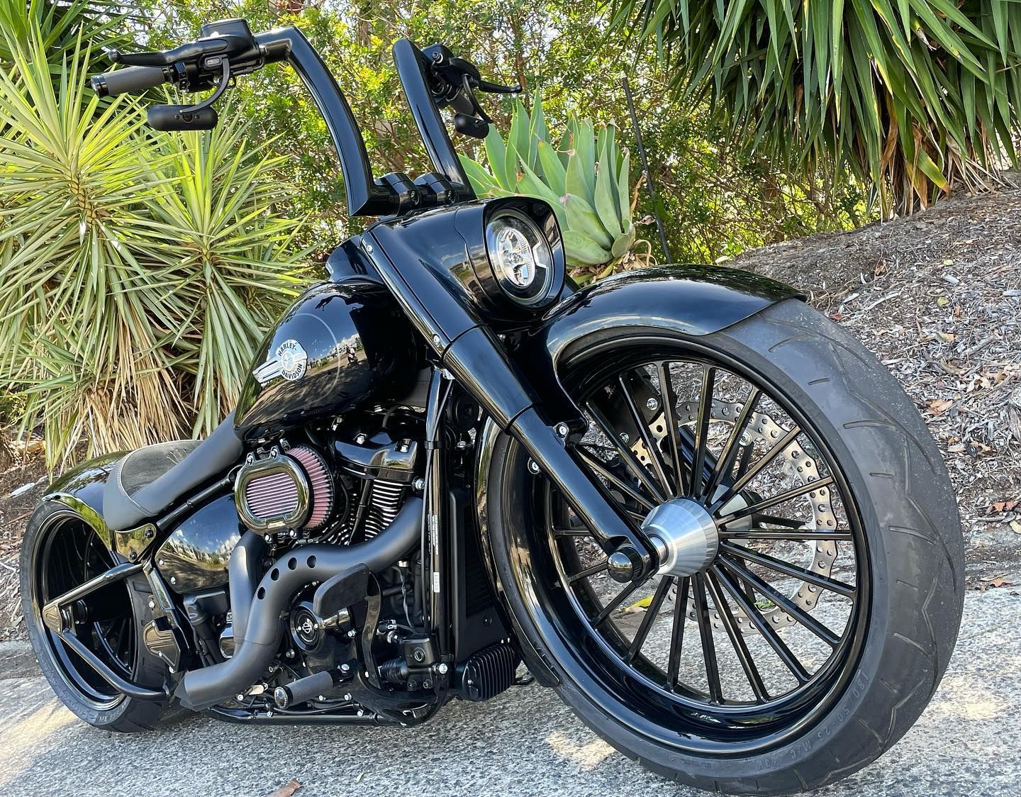 Custom Harley-Davidson Fattest Boy 2