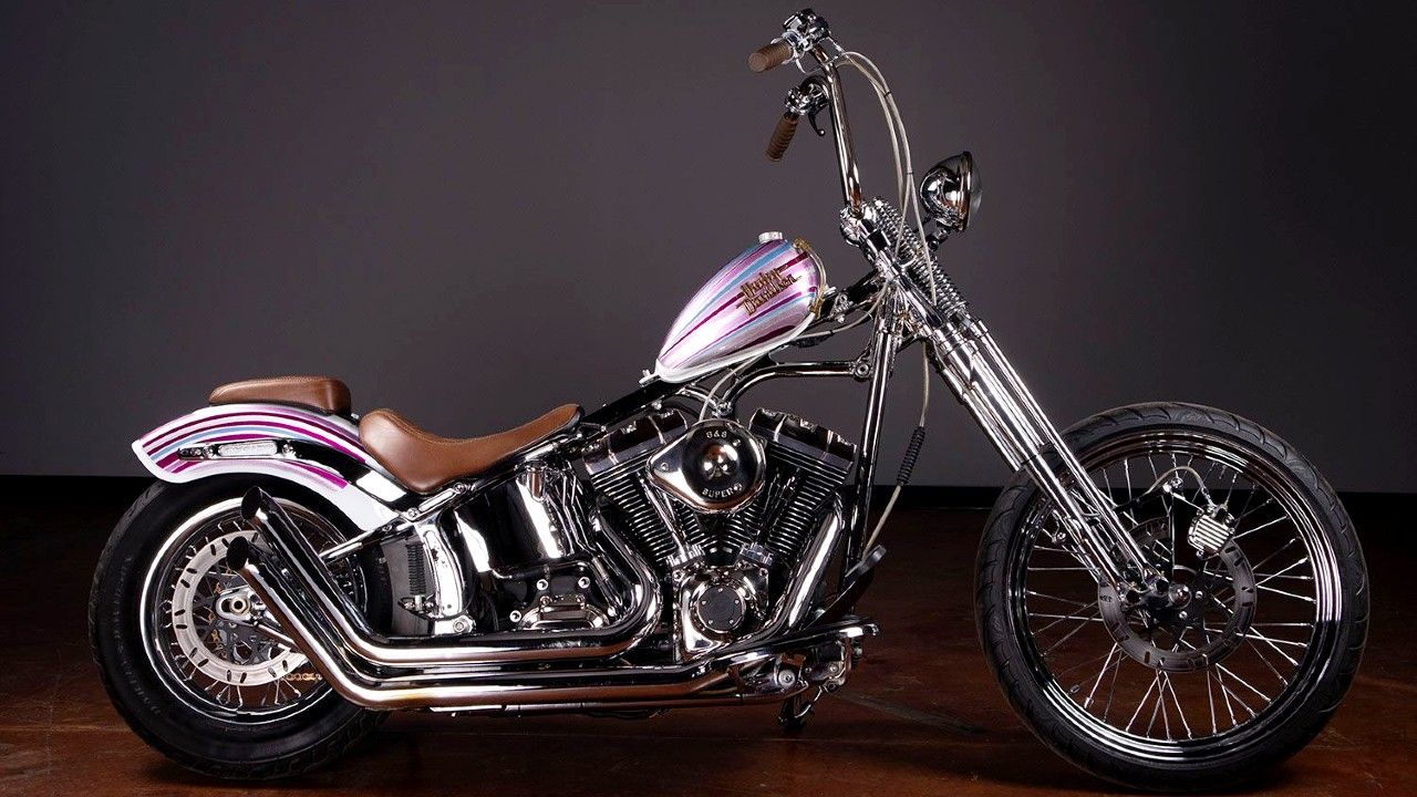 Custom Harley-Davidson Softail Slim 4