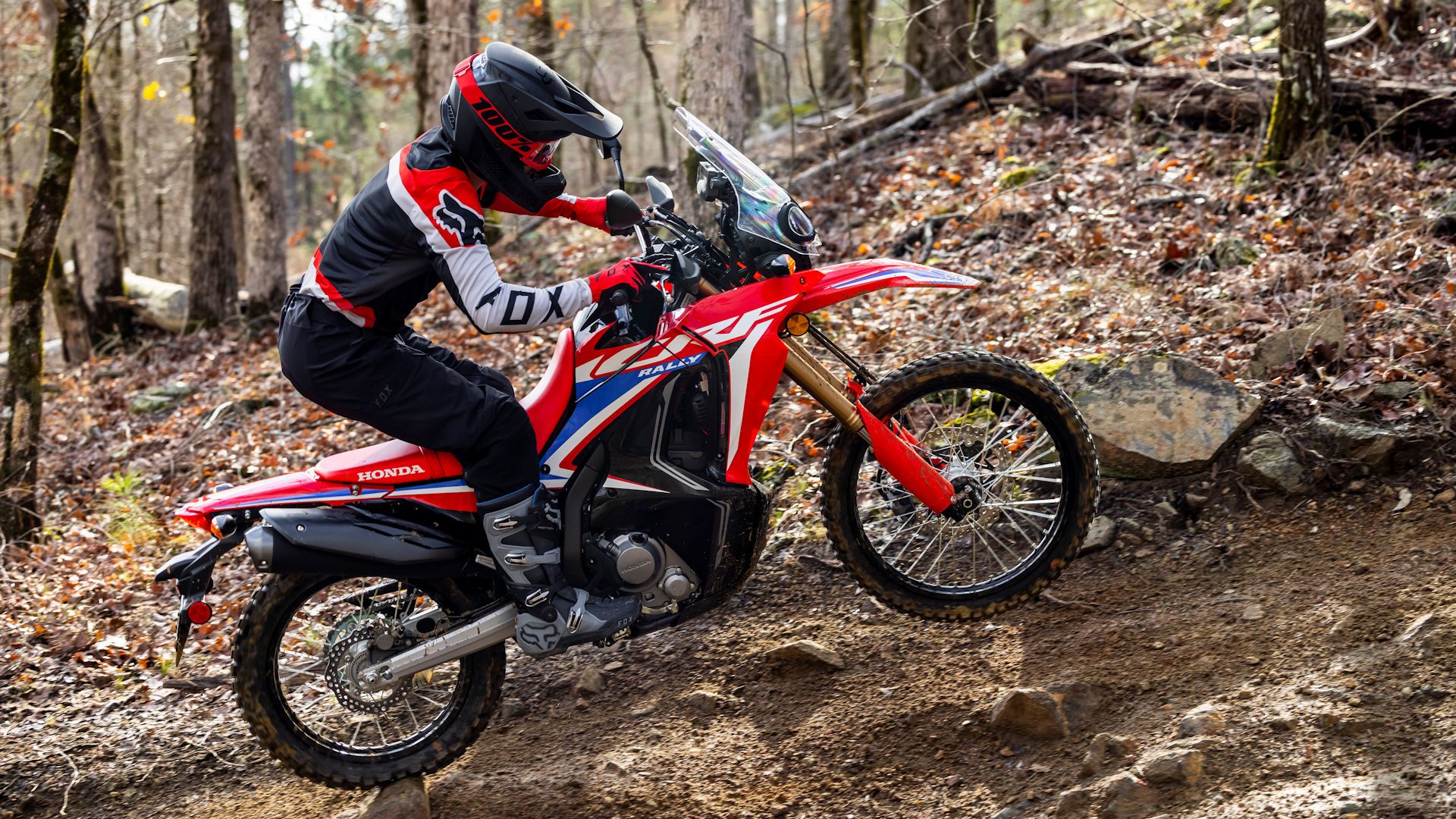 Honda CRF 300L 2023 on the woods