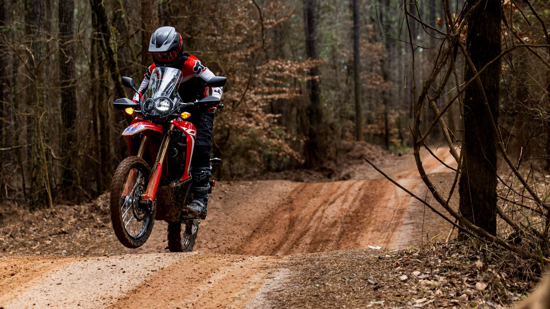 10 Best Used Adventure Motorcycles On A Budget