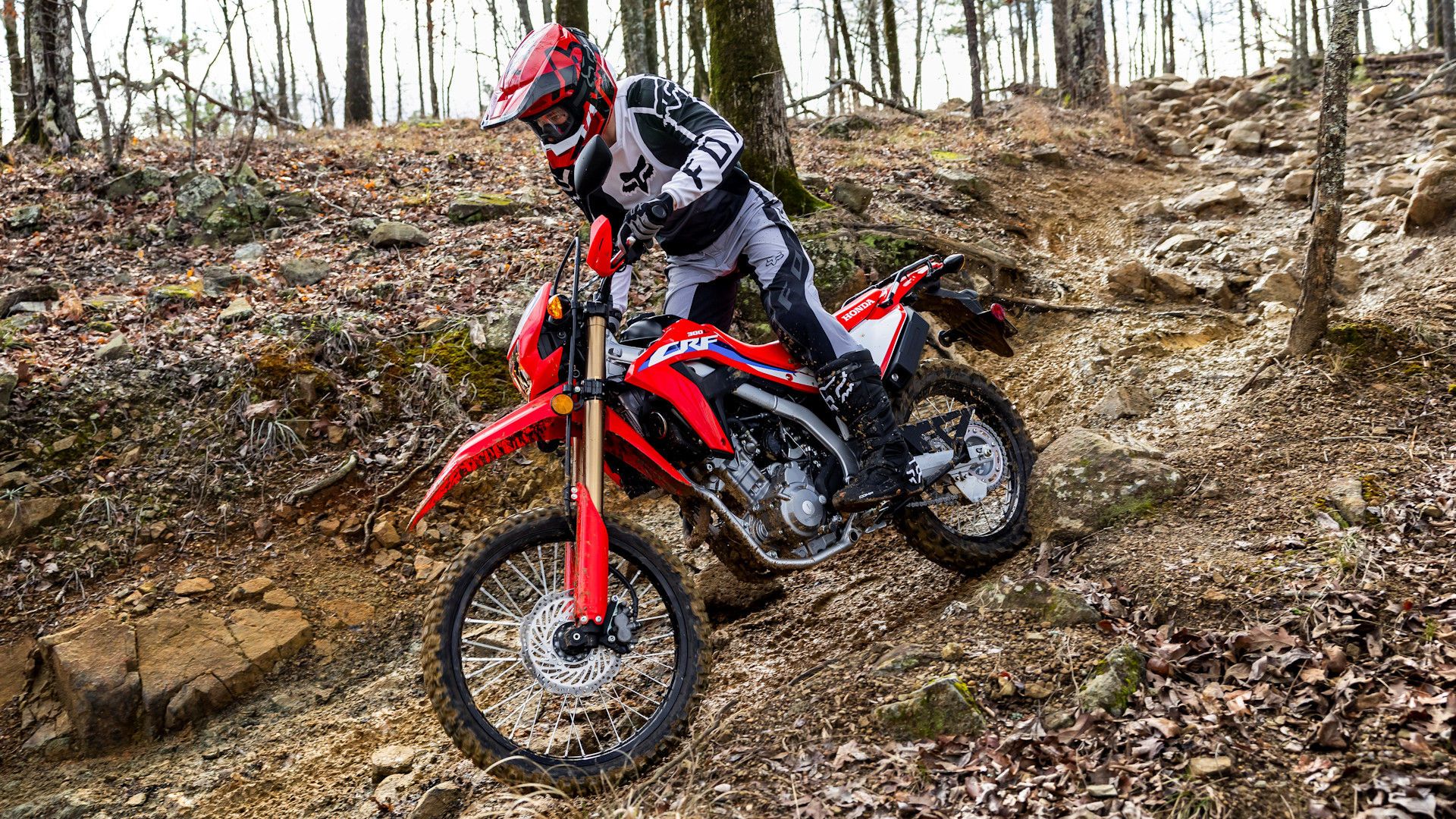 Red 2023 Honda CRF300L coming down a trail in the woods