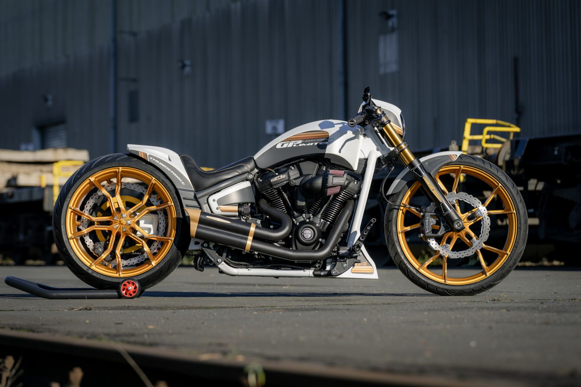 German-Built Harley-Davidson Breakout Has So Much Gold, It'll Make