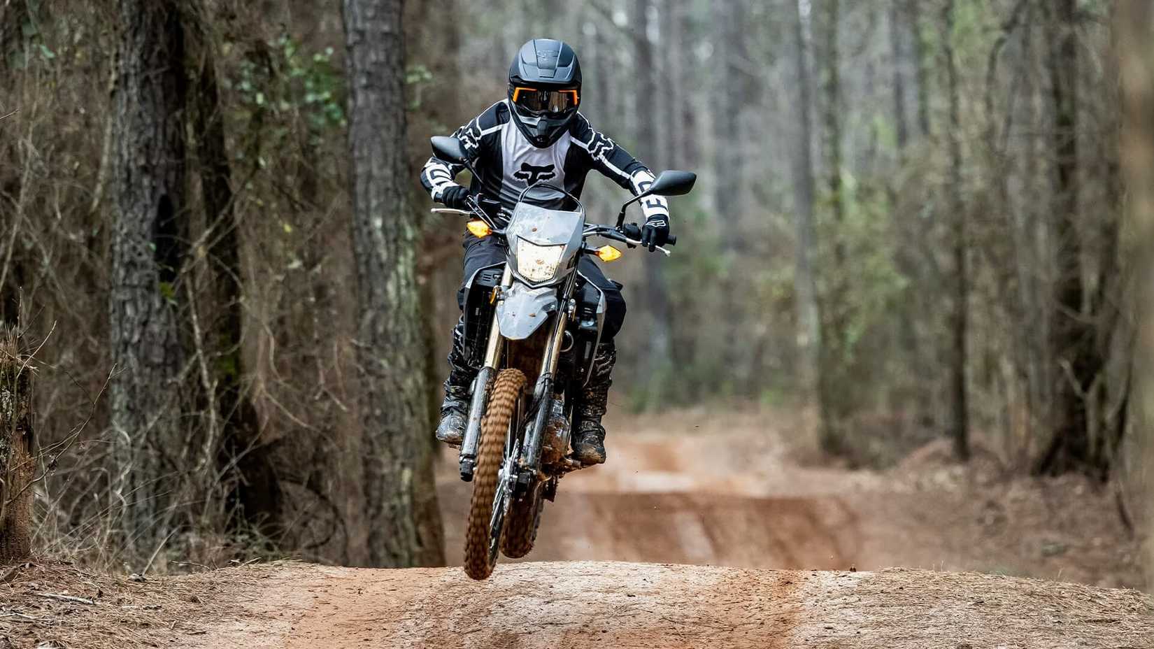 Gray 2023 Honda CRF300LS in the forest