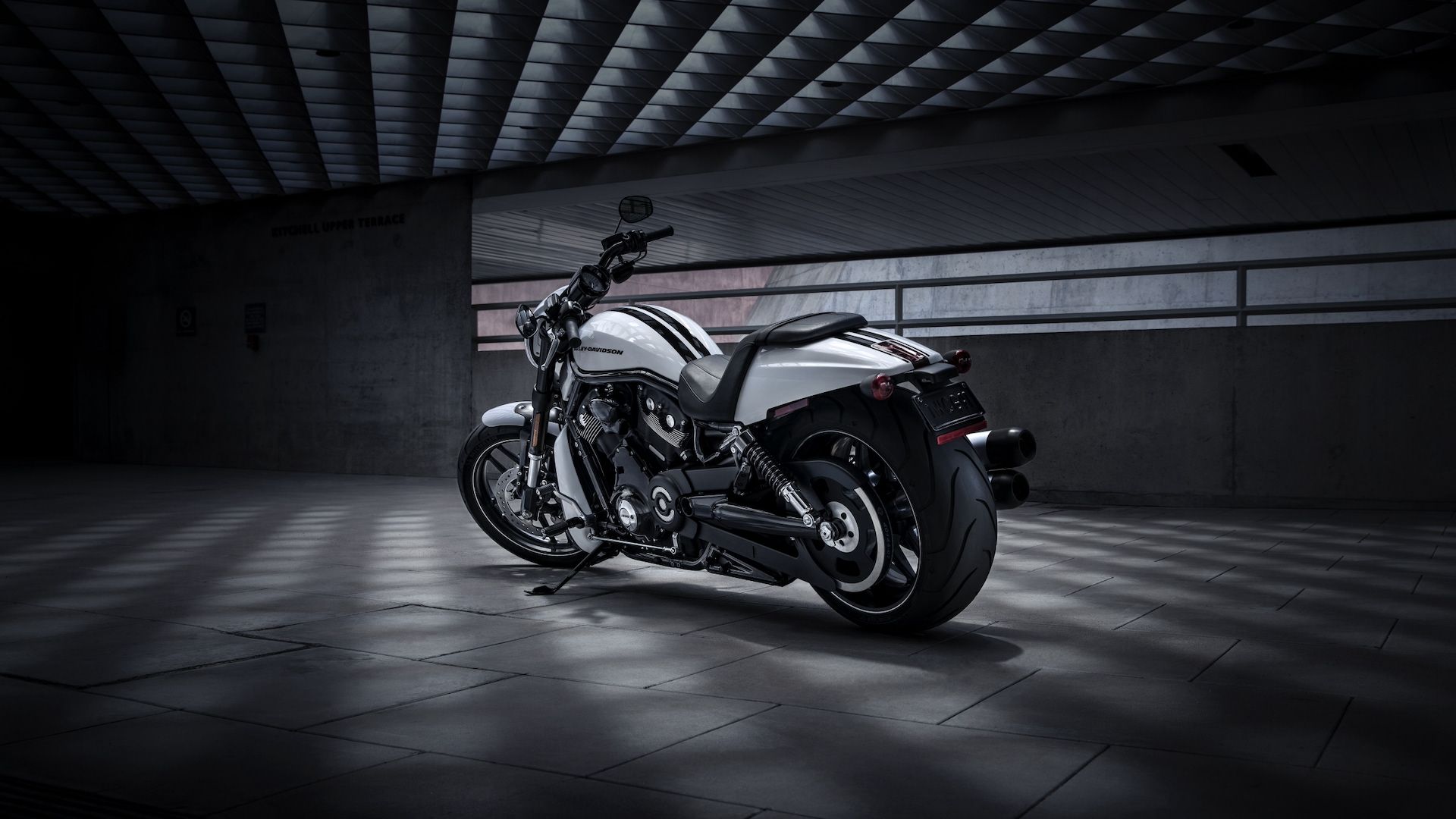 Harley-Davidson Night Rod Special