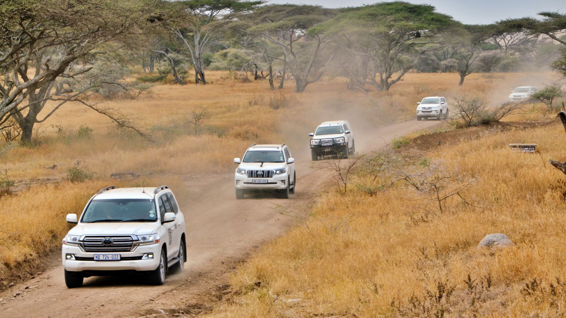 SUVs Toyota na África