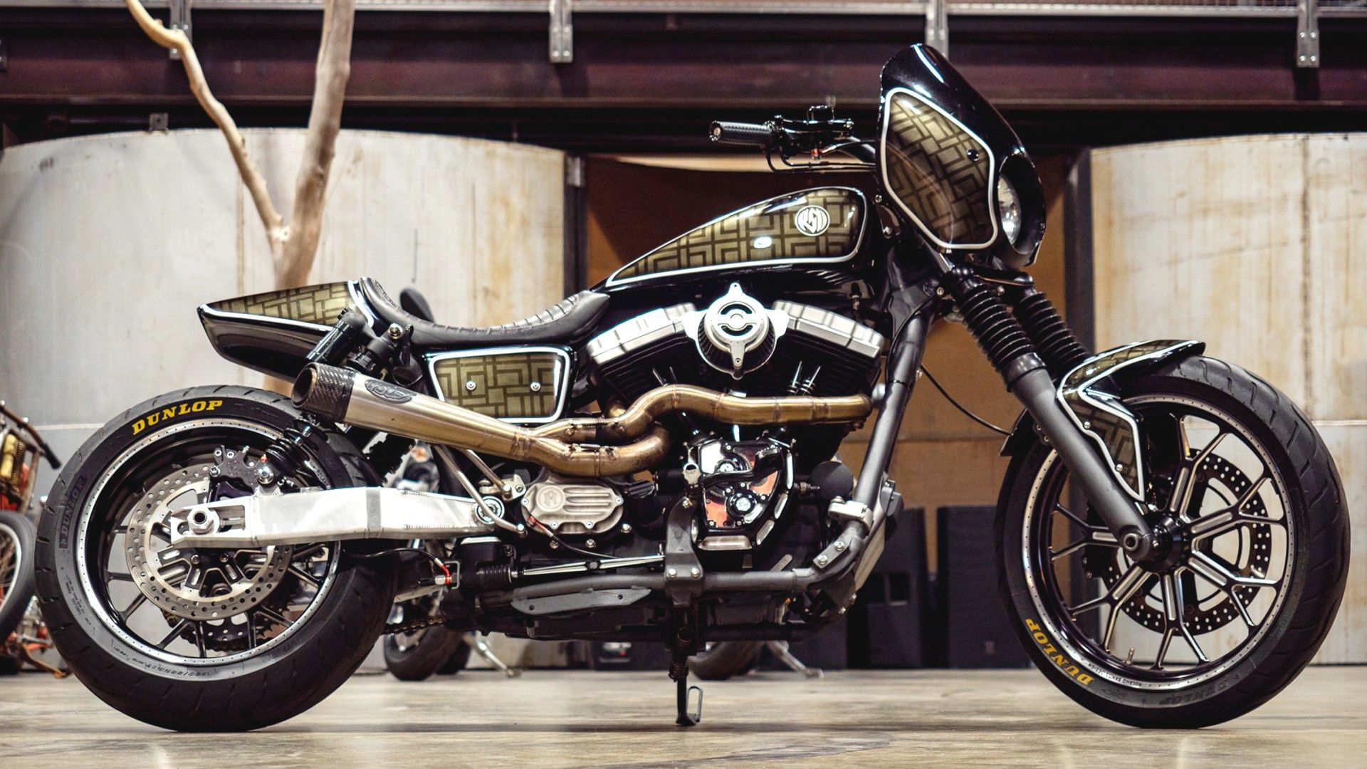 Roland Sands Harley-Davidson Dyna 1