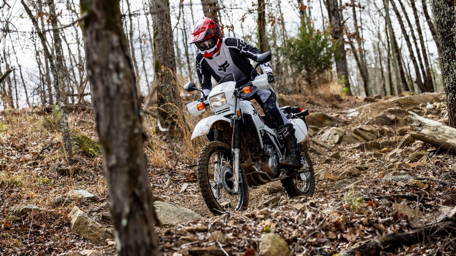 Best Dual Sport Motorcycles For Beginners