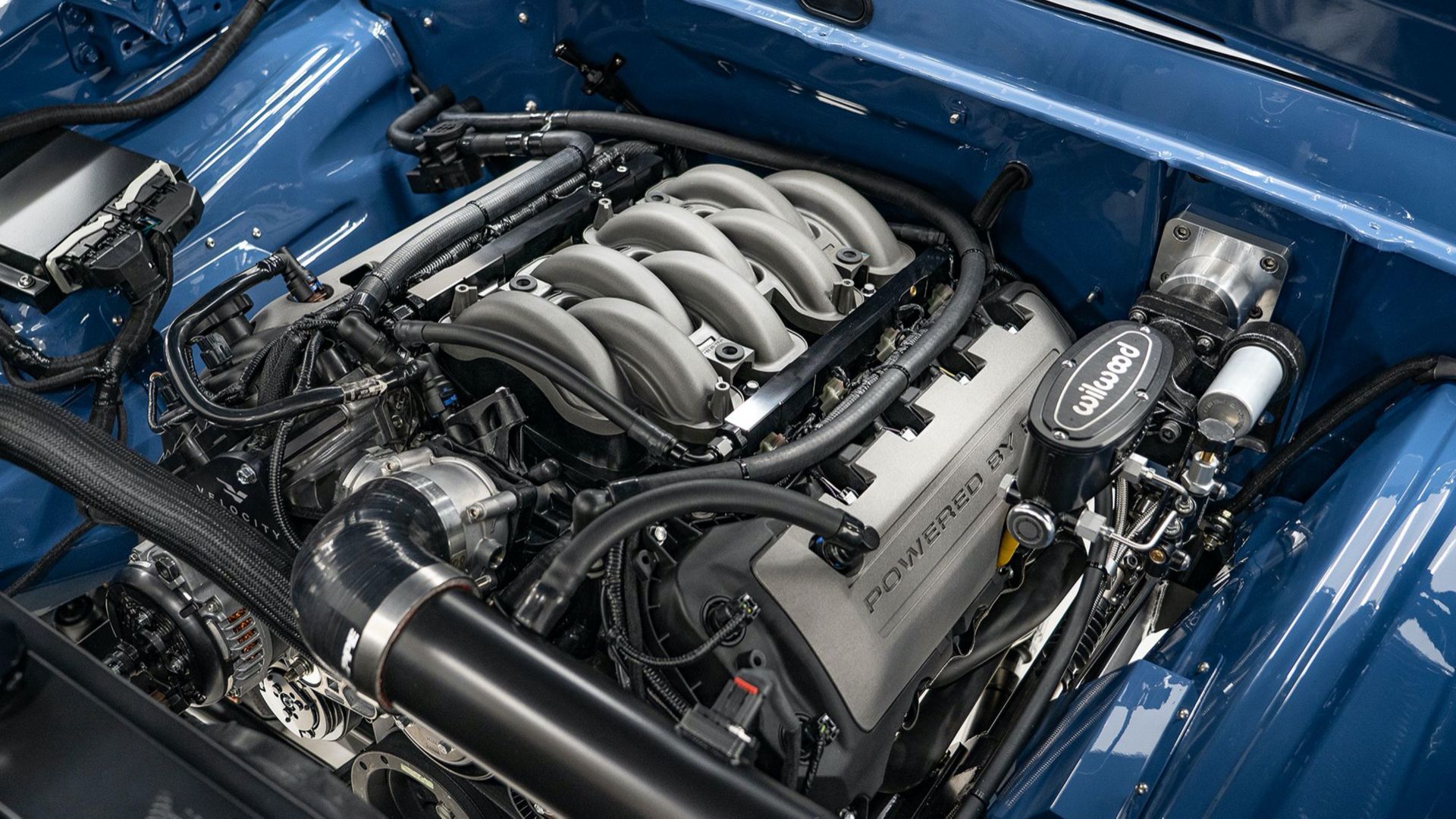 Motor Ford Coyote V-8 de 5,0 litros e 460 cavalos de potência