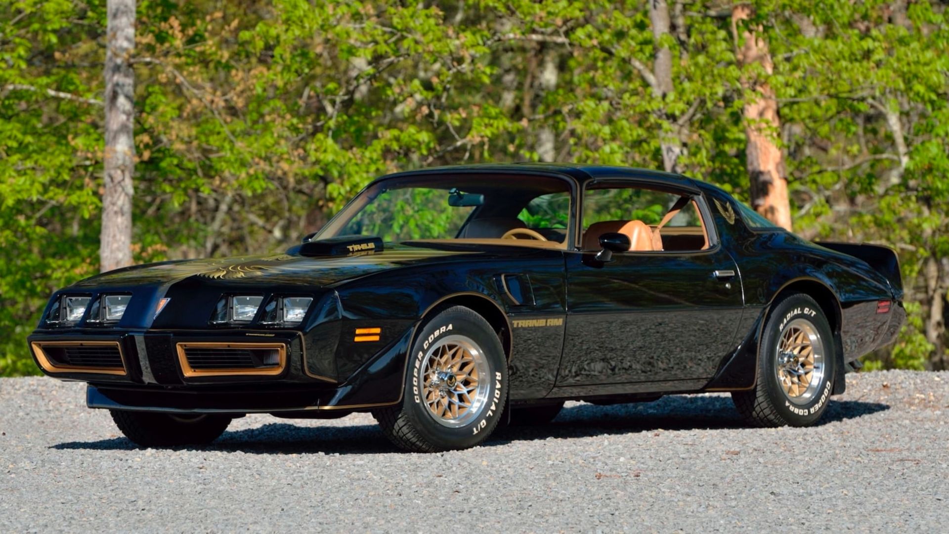 Black 1979 Pontiac Trans AM SE