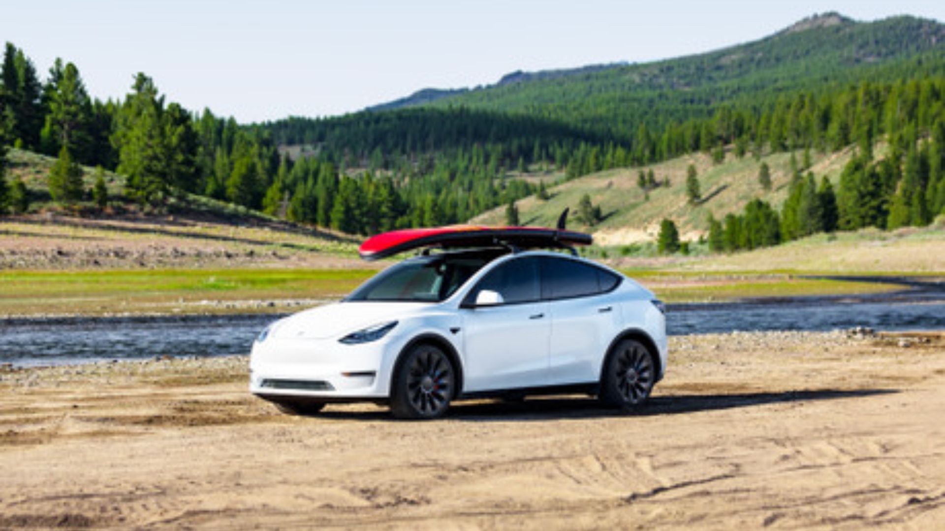 White Color Tesla Model Y