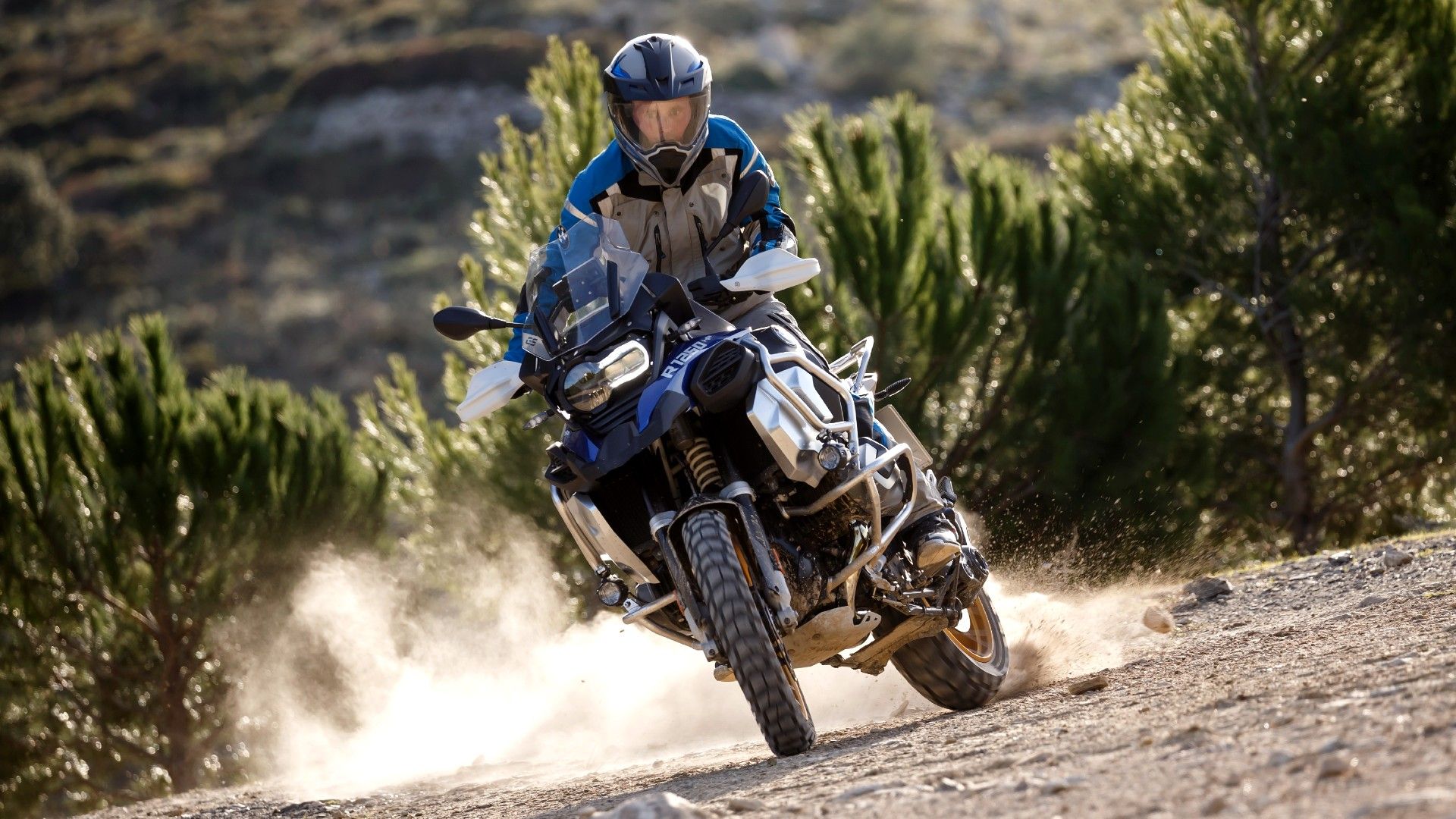 2018 BMW R 1250 GS Action