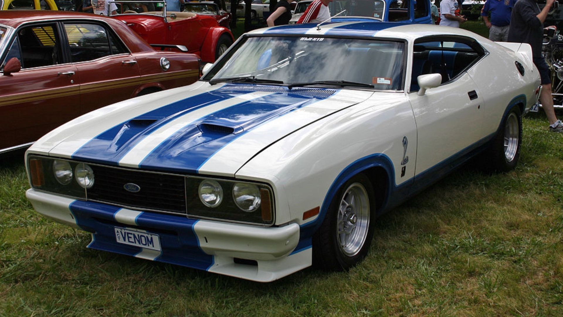 Falcão Australiano XC Cobra