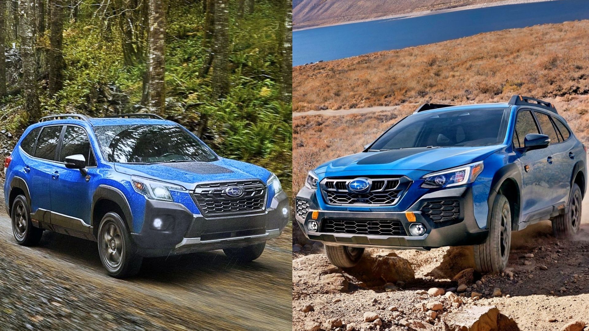 Forester Vs.Outback Wilderness