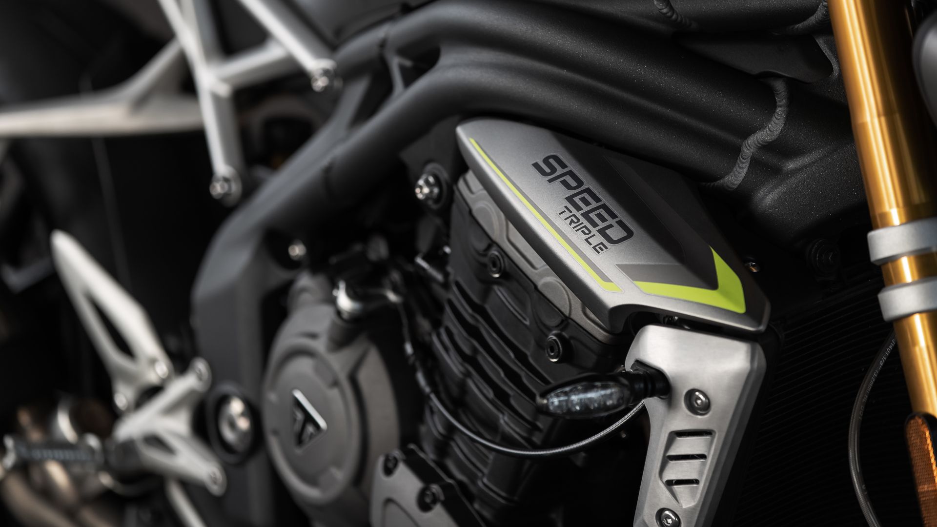 Speed-Triple-1200-RS 