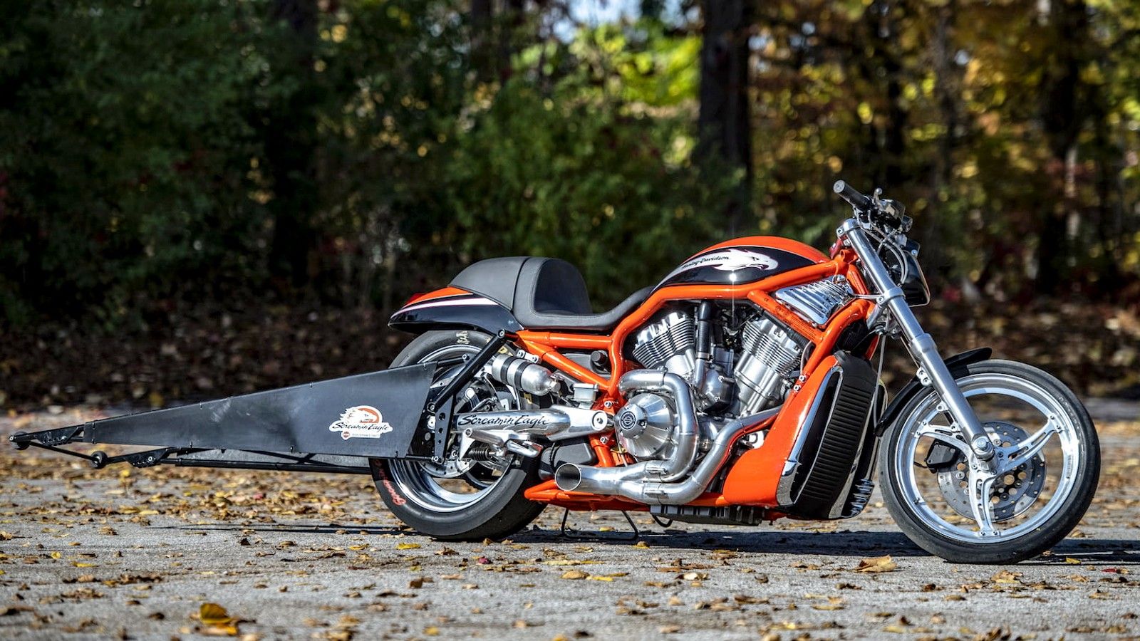2006 Harley-Davidson V-Rod Destroyer Hero