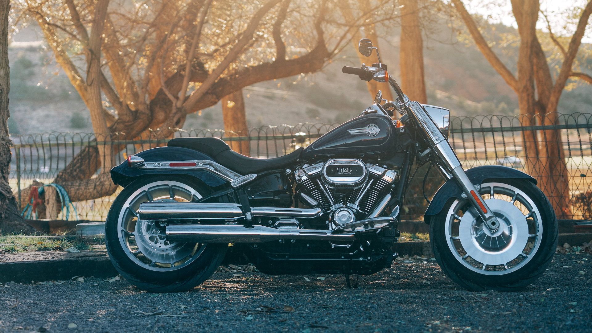 2023 Harley-Davidson Fats Boy 114: Efficiency, Worth, And Pictures ...