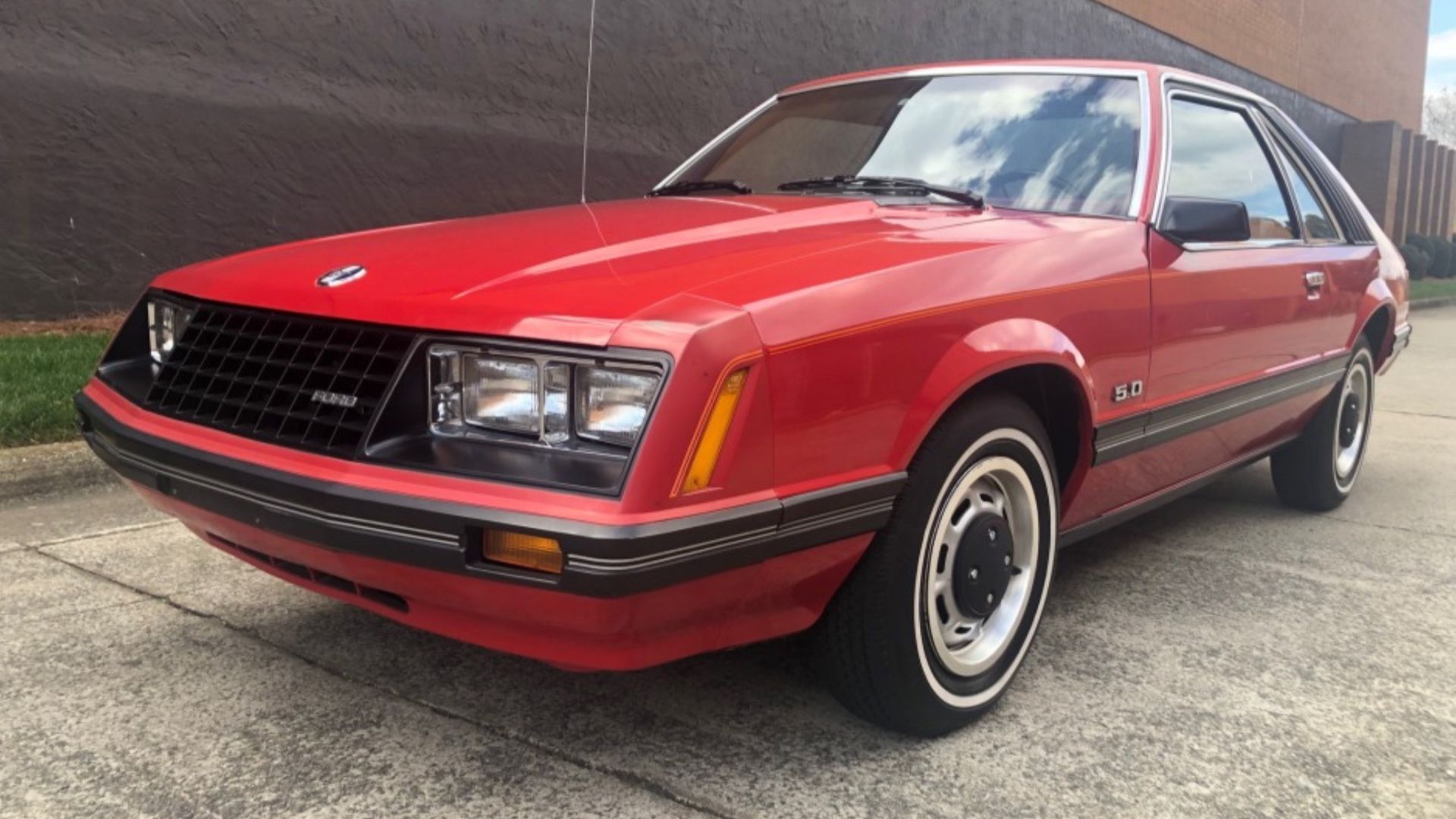 Red Fox Body Mustang