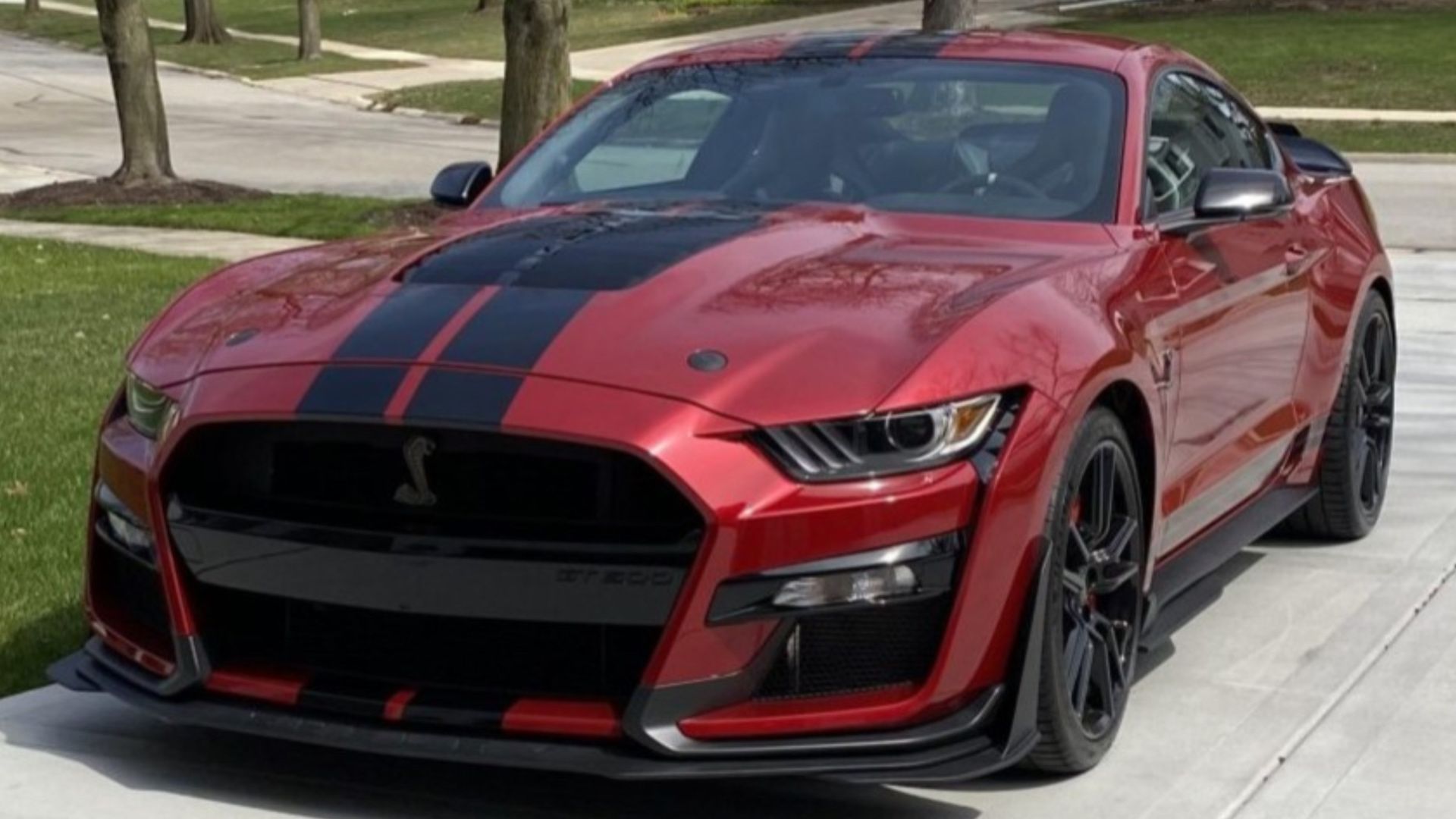 Foto 3/4 do Shelby GT500