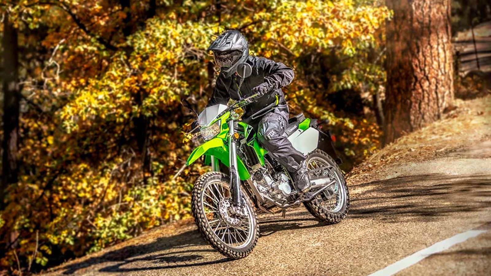 2023 Kawasaki KLX300