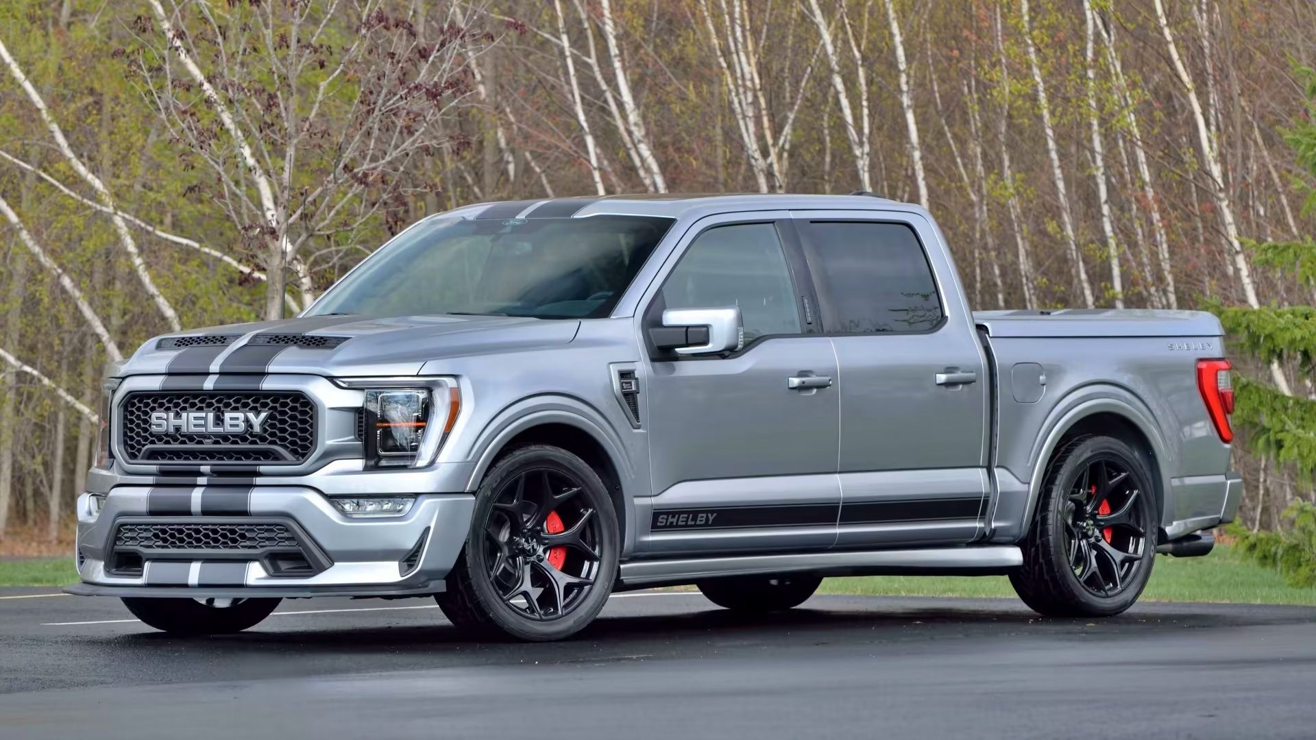 15 Things You Should Know About The Shelby F-150 Super Snake