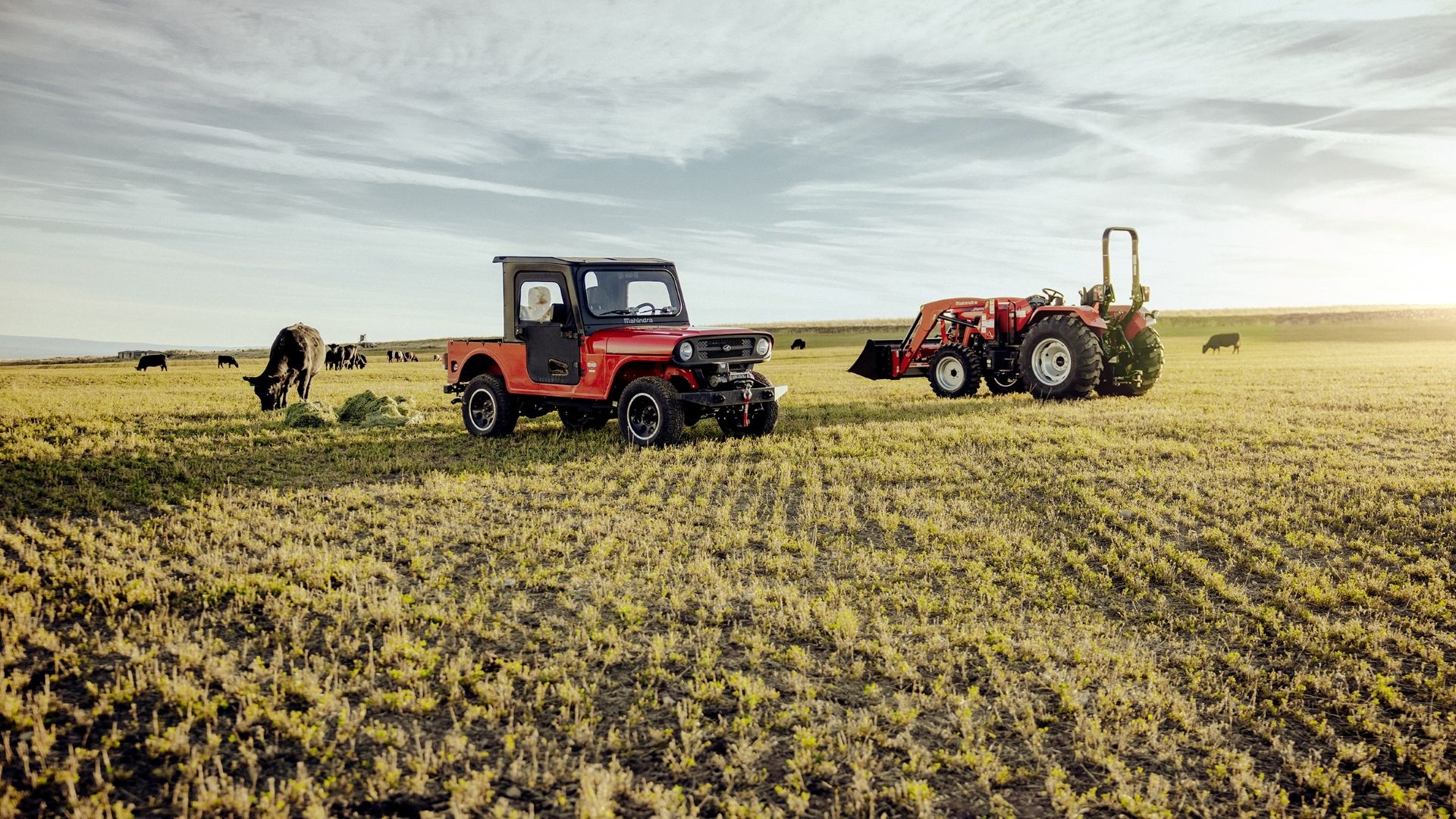 Front 3/4 of the 2023 Mahindra Roxor All-Weather in a field