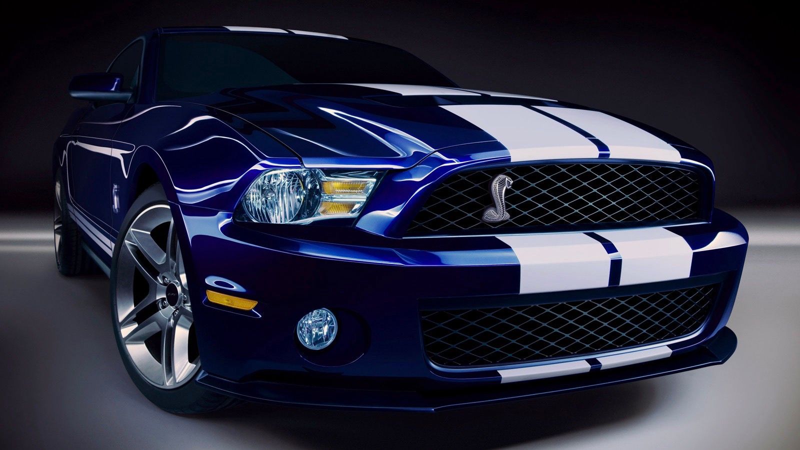 2010 blue Ford Mustang Shelby GT500 