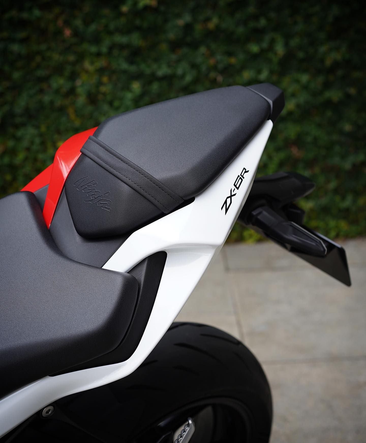 These Sexy Kawasaki Ninjas Can Beat Ducati At Its Own Game