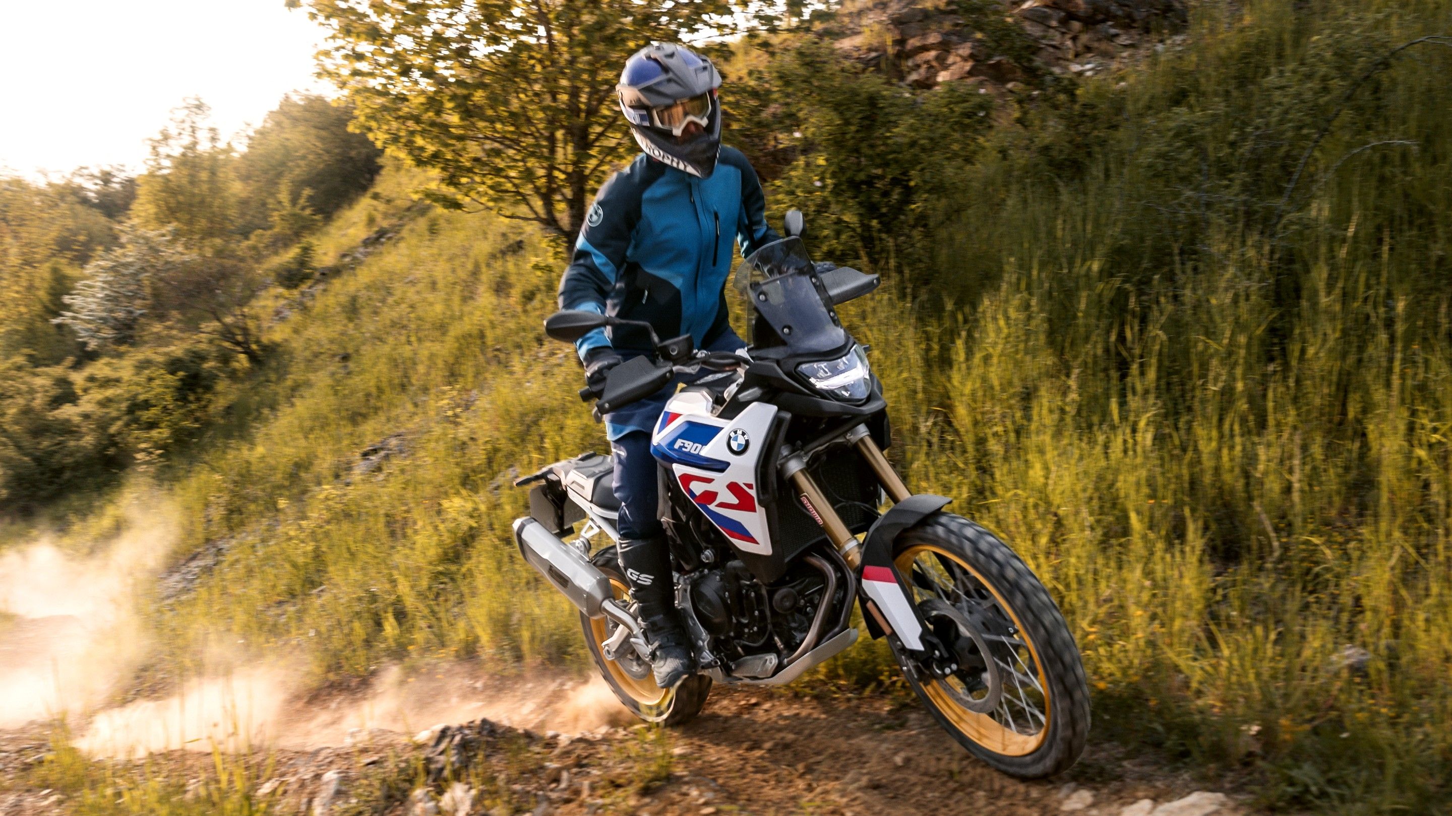 2024 BMW F 900 GS Action