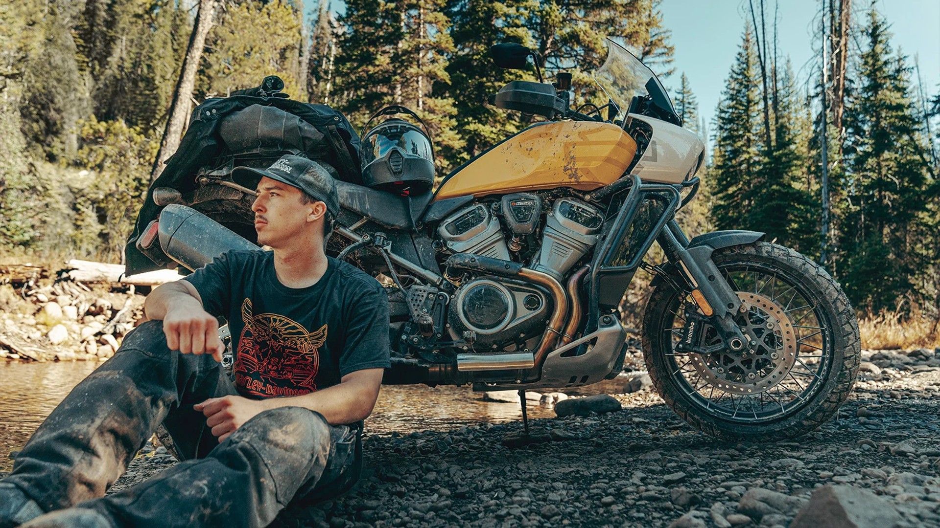 Harley-Davidson Pan America 120 in a Remote Forest