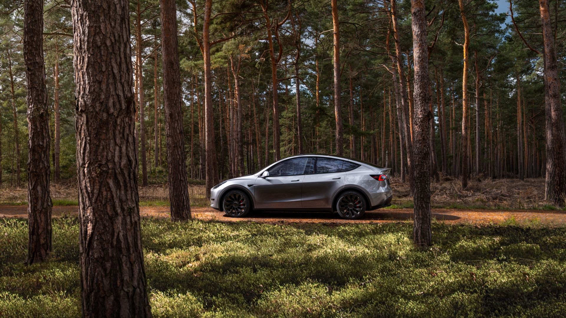 2024 Tesla Model Y estacionado em uma floresta