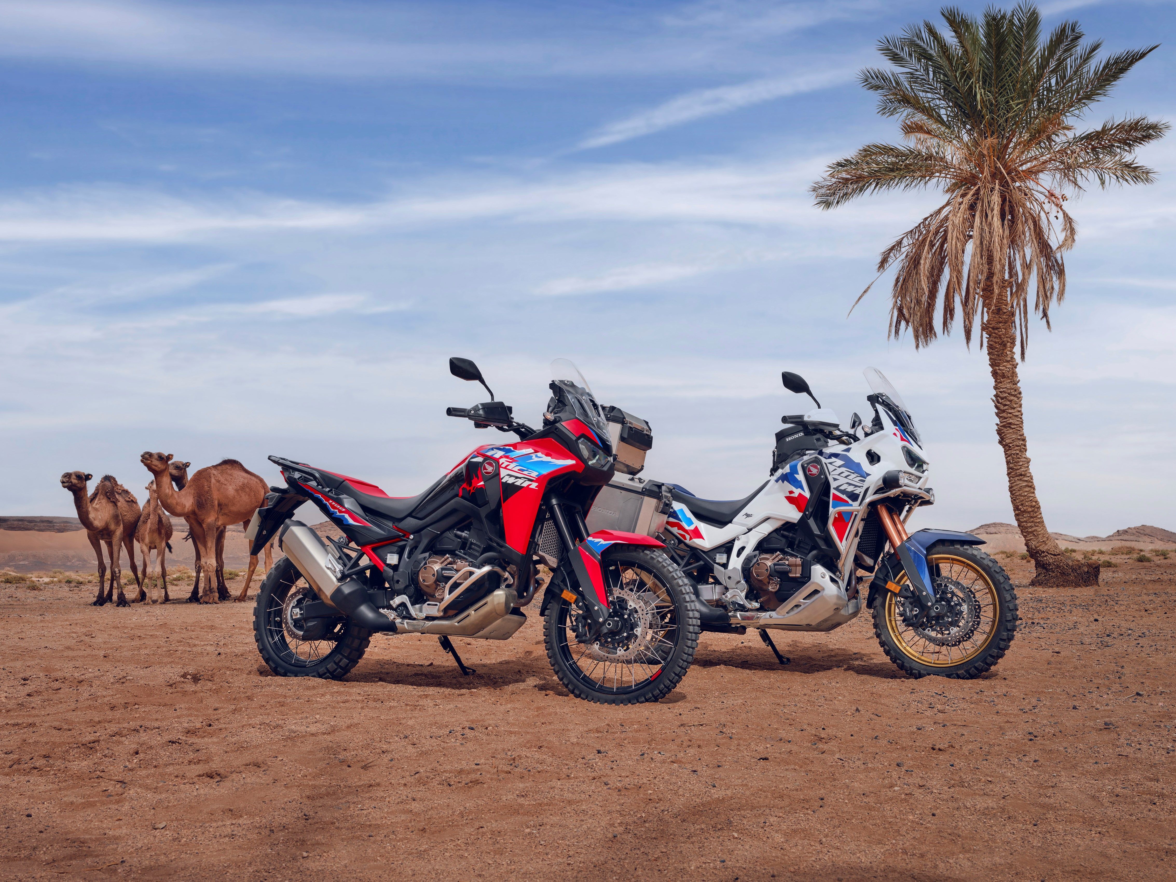 Honda africa twin outlet 250cc