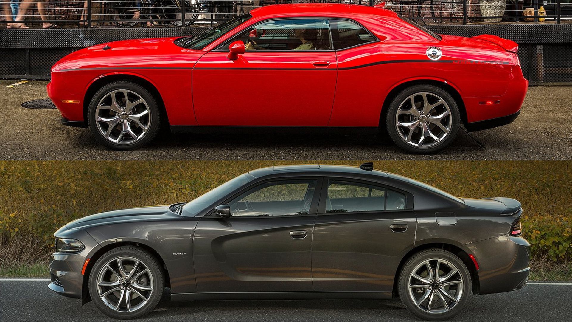 Dodge Challenger Vs Charger Choosing The Right Muscle Car For You
