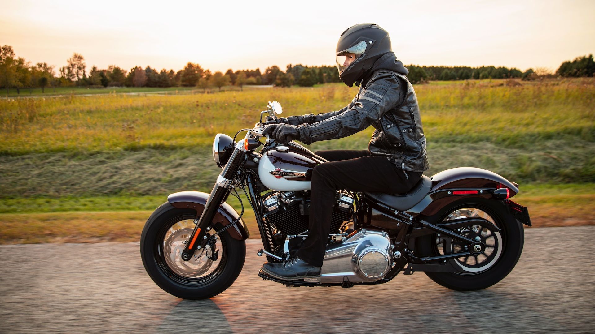 2021 Harley-Davidson Softail Slim